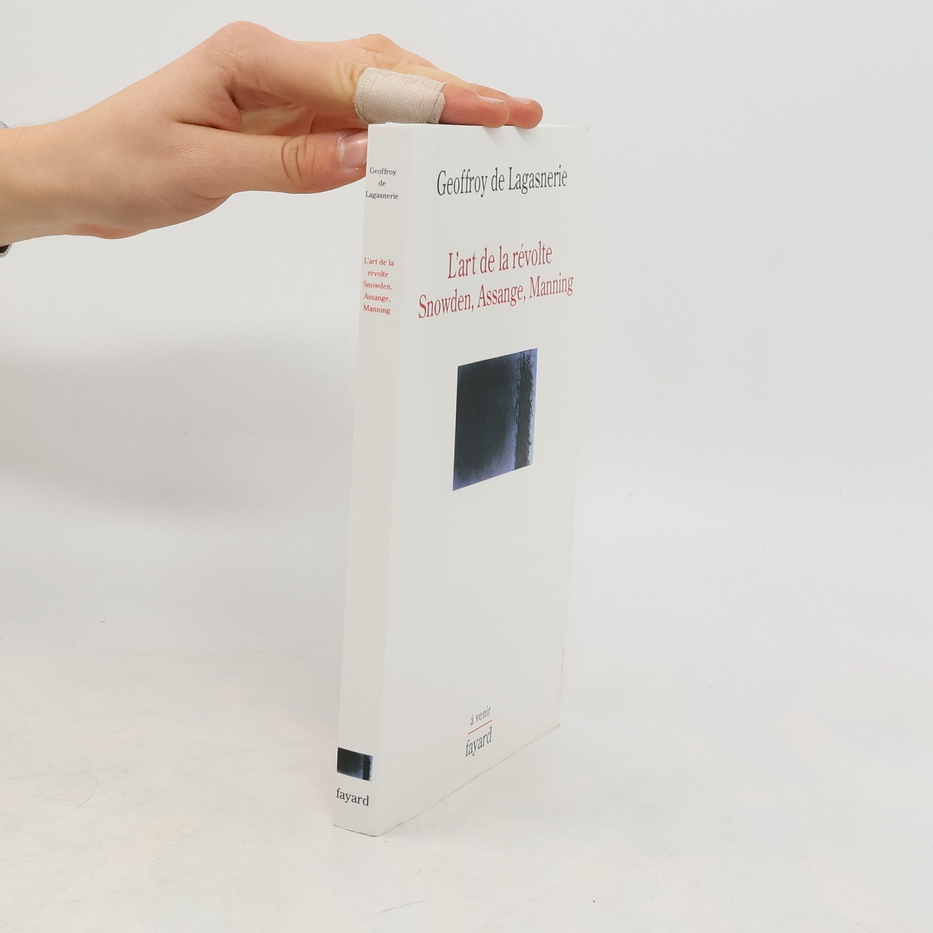 Geoffroy de Lagasnerie L'art de la révolte