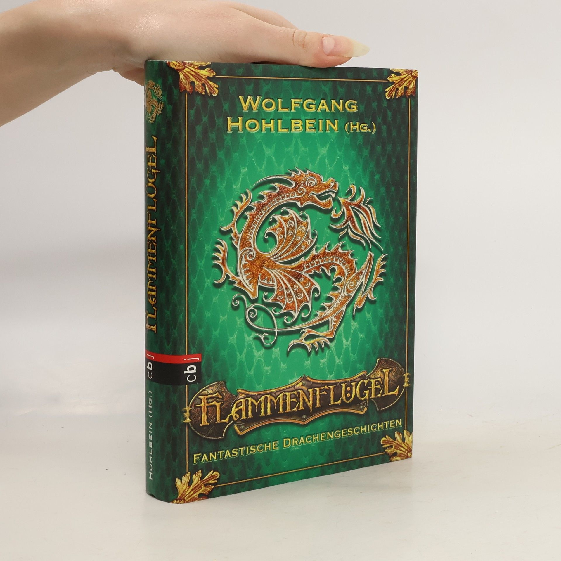 Wolfgang Hohlbein Flammenflügel