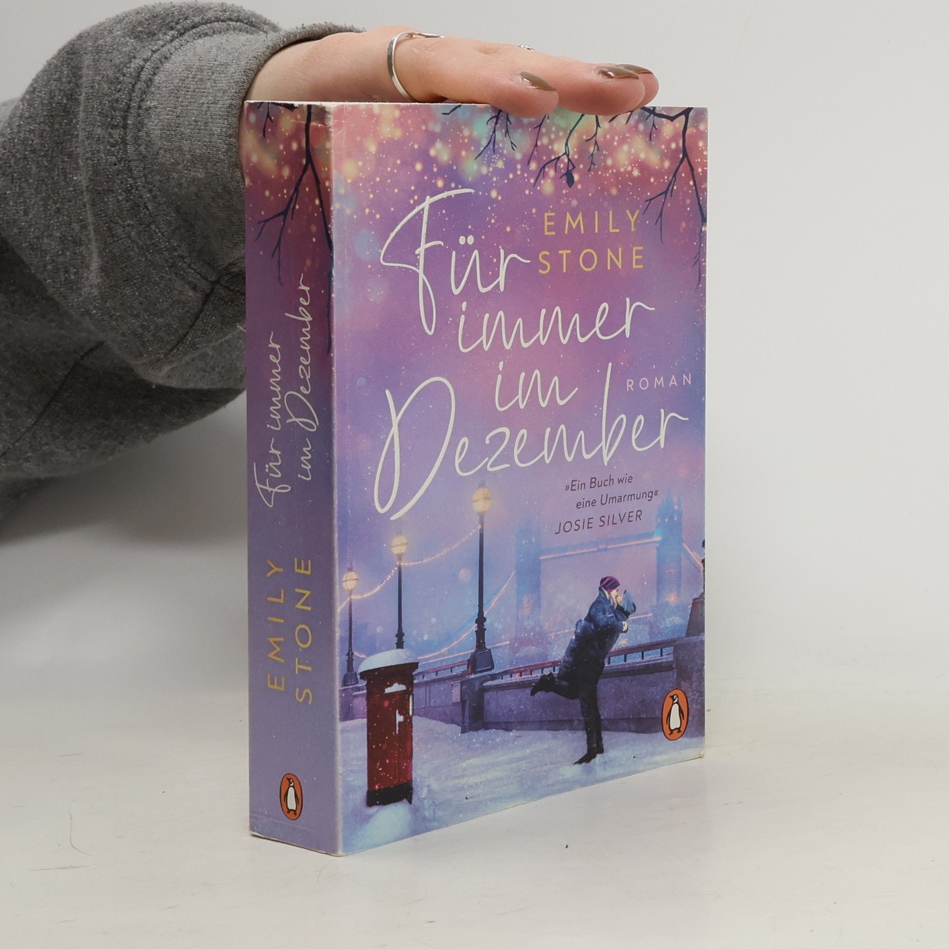 Stone Emily Für immer im Dezember