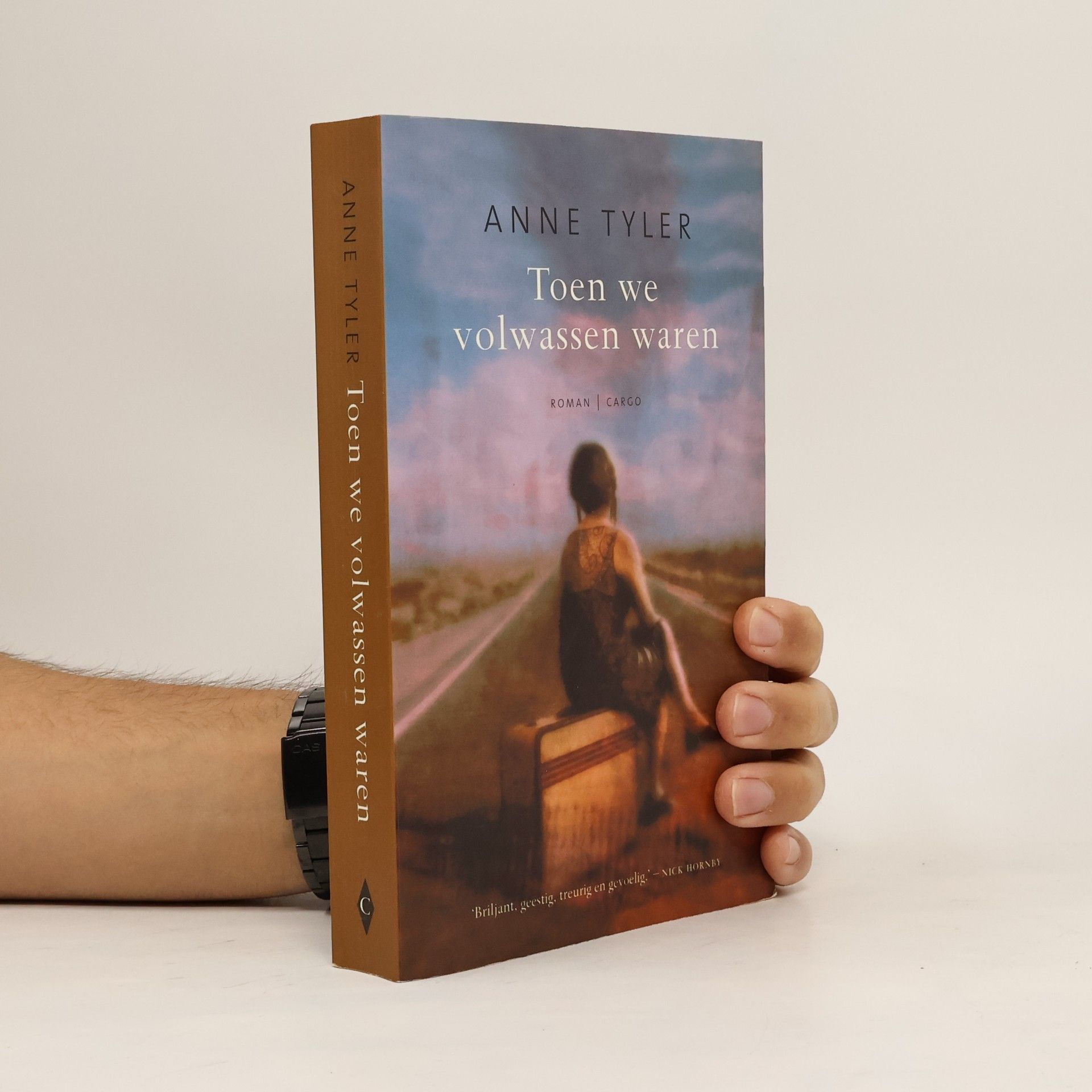 Anne Tyler Toen we volwassen waren