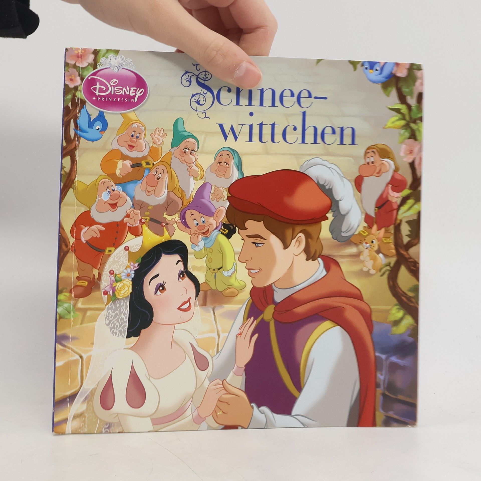 Autorenkollektiv Schneewittchen