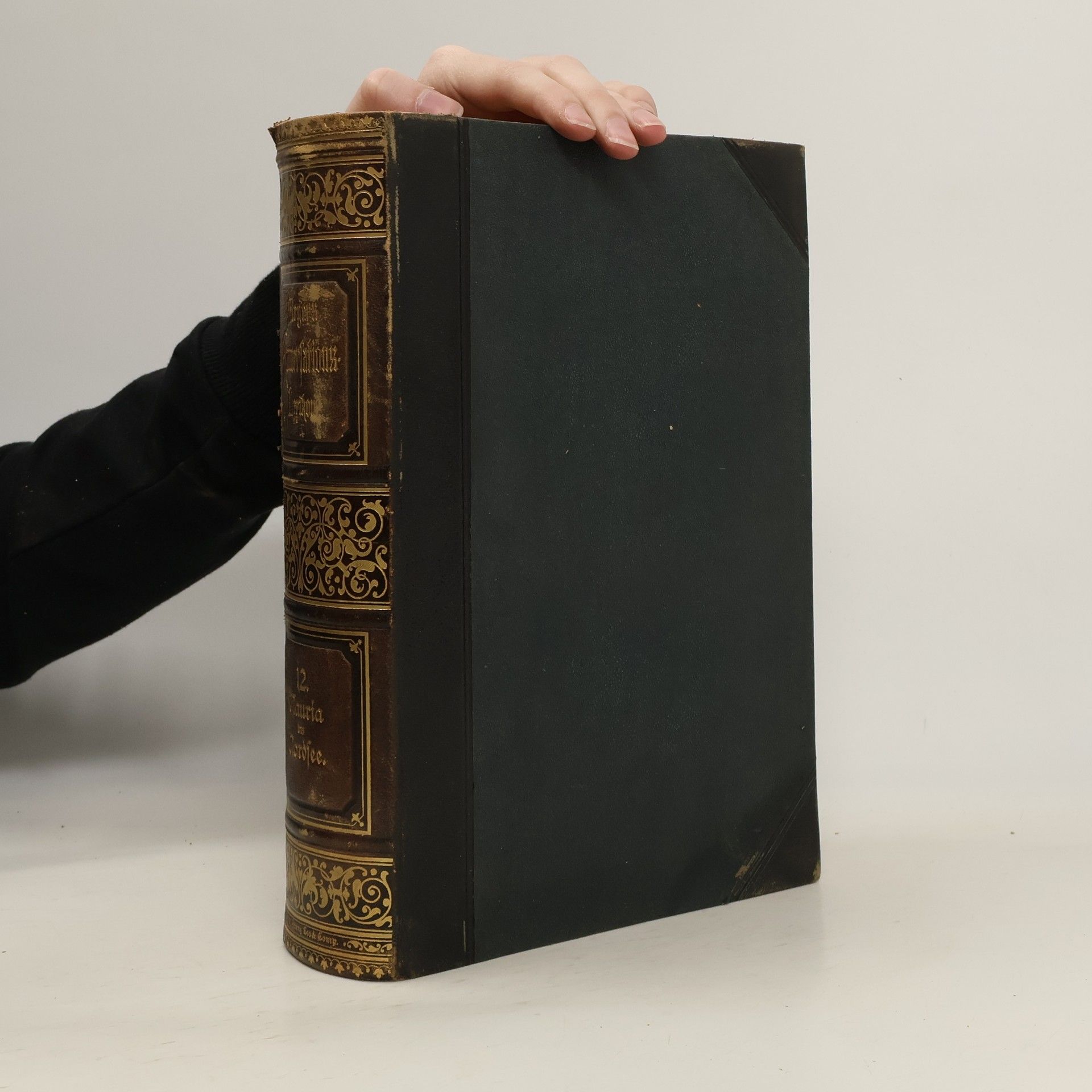 Various authors Meyers Konversations-Lexikon. Band 12