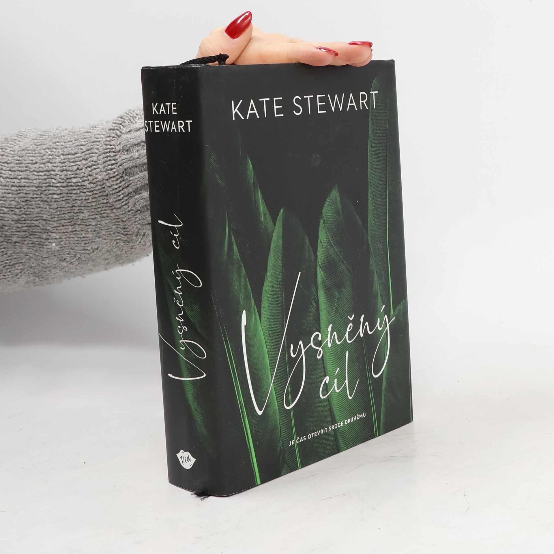 Vysněný cíl. Kniha třetí