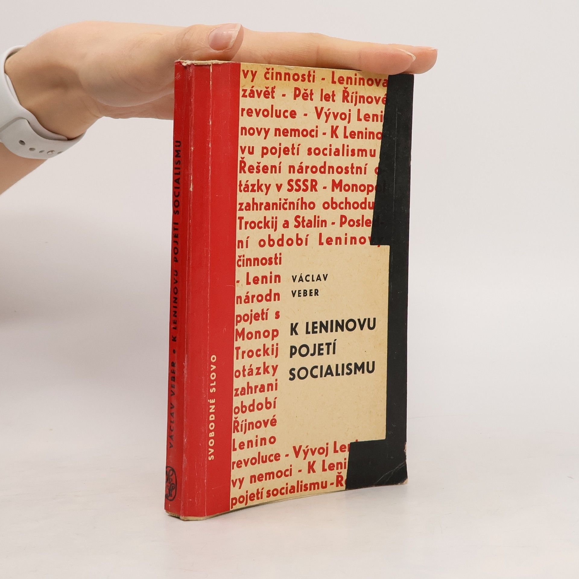 K Leninovu pojetí socialismu