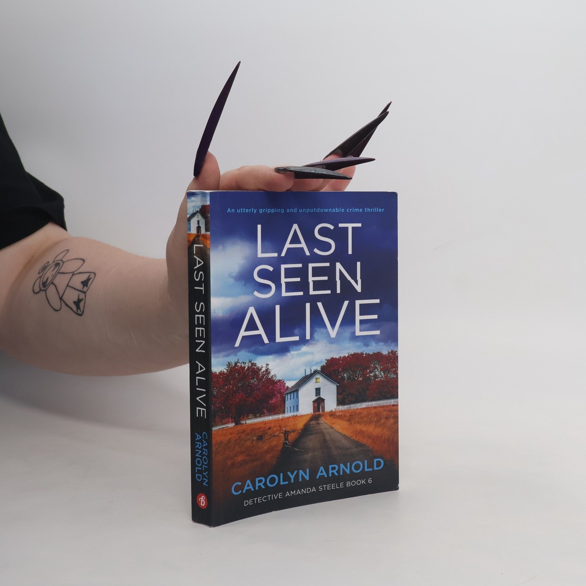 Carolyn Lee Arnold Detective Amanda Steele - 6: Last Seen Alive