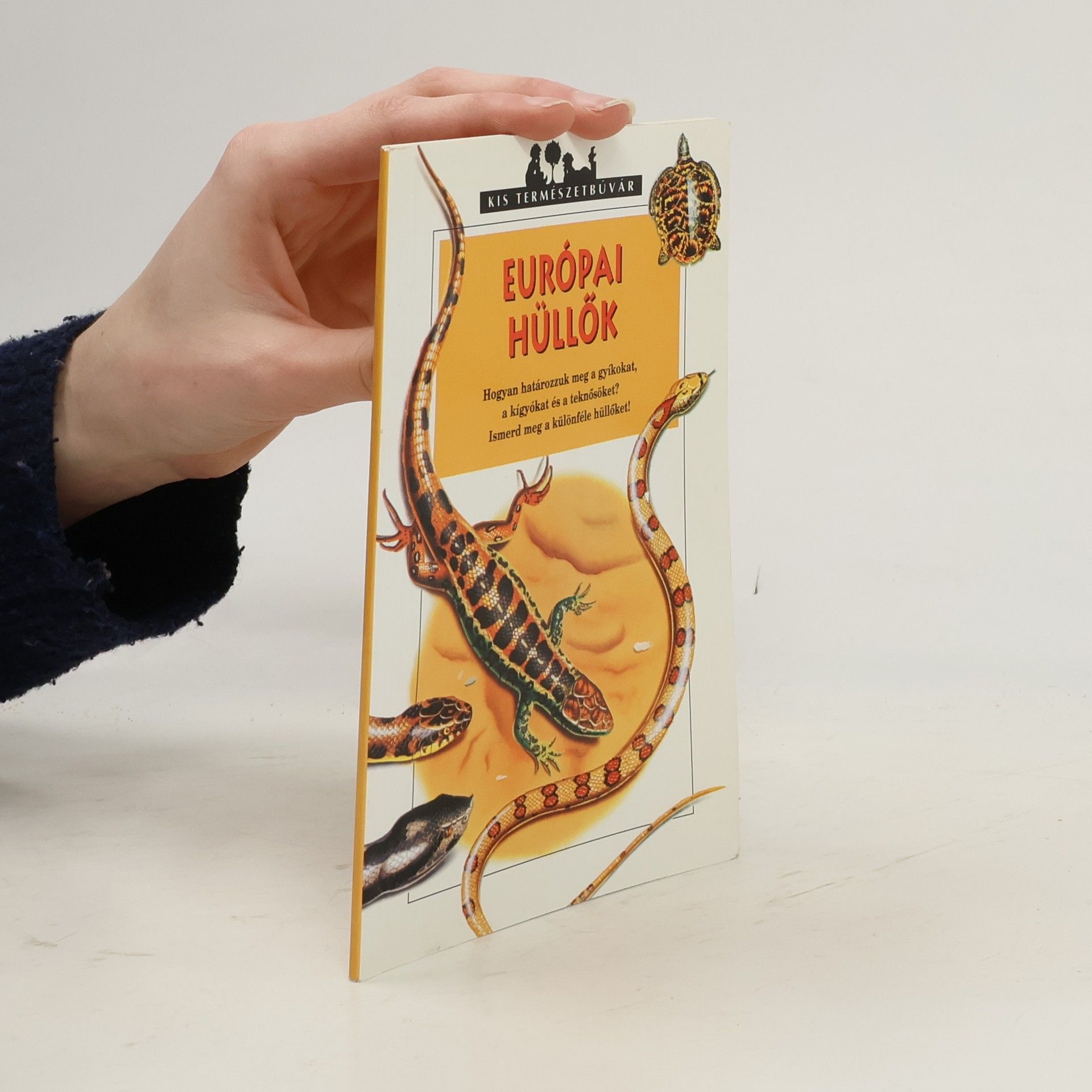 Various authors Európai hüllők