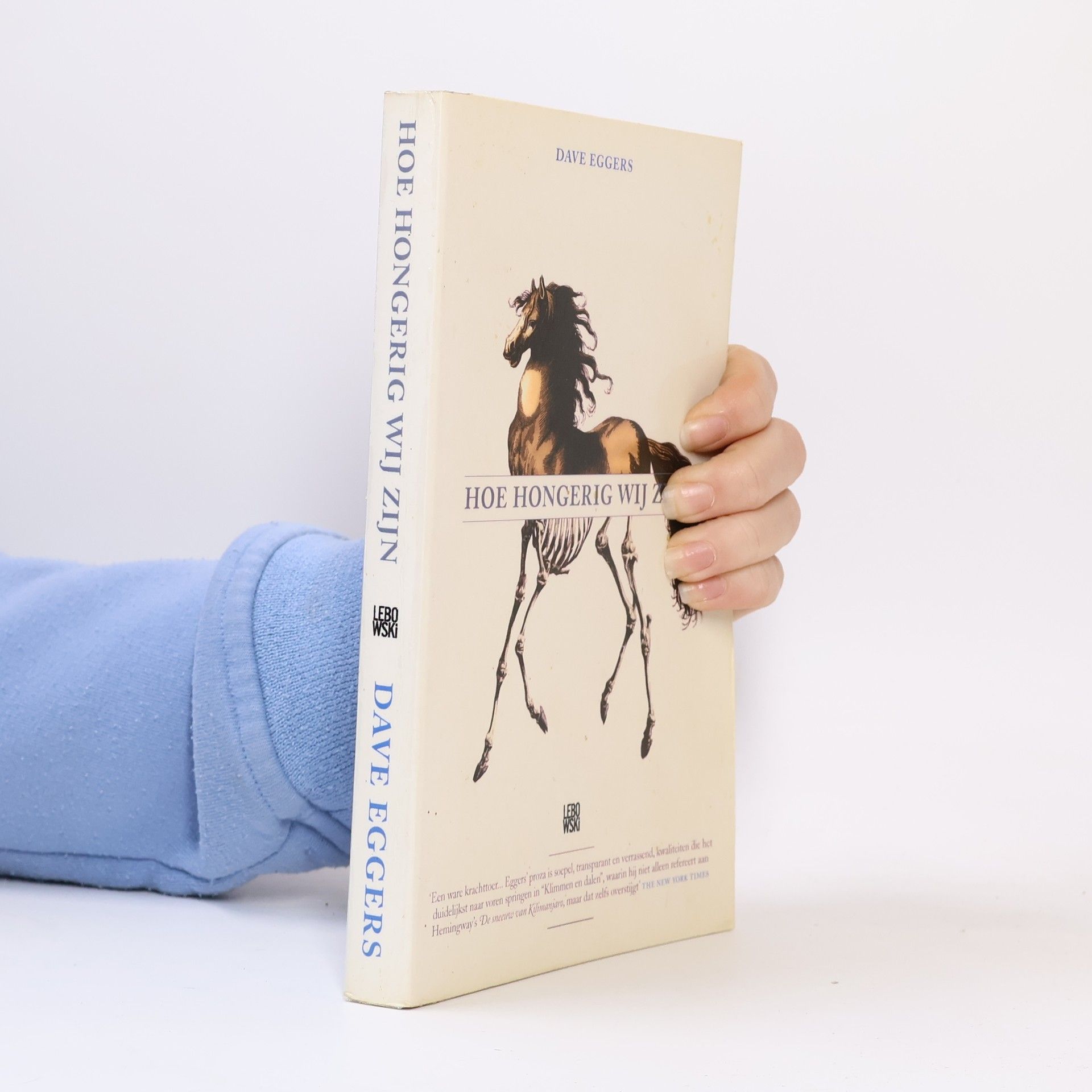 Dave Eggers Hoe hongerig wij zijn / druk 1