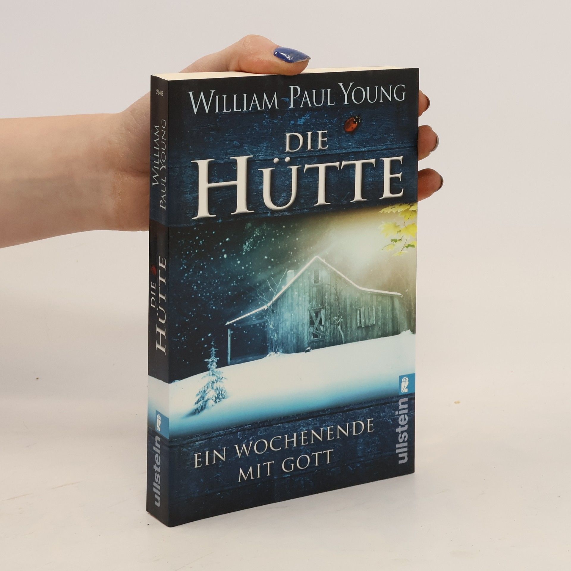 William P. Young Die Hütte