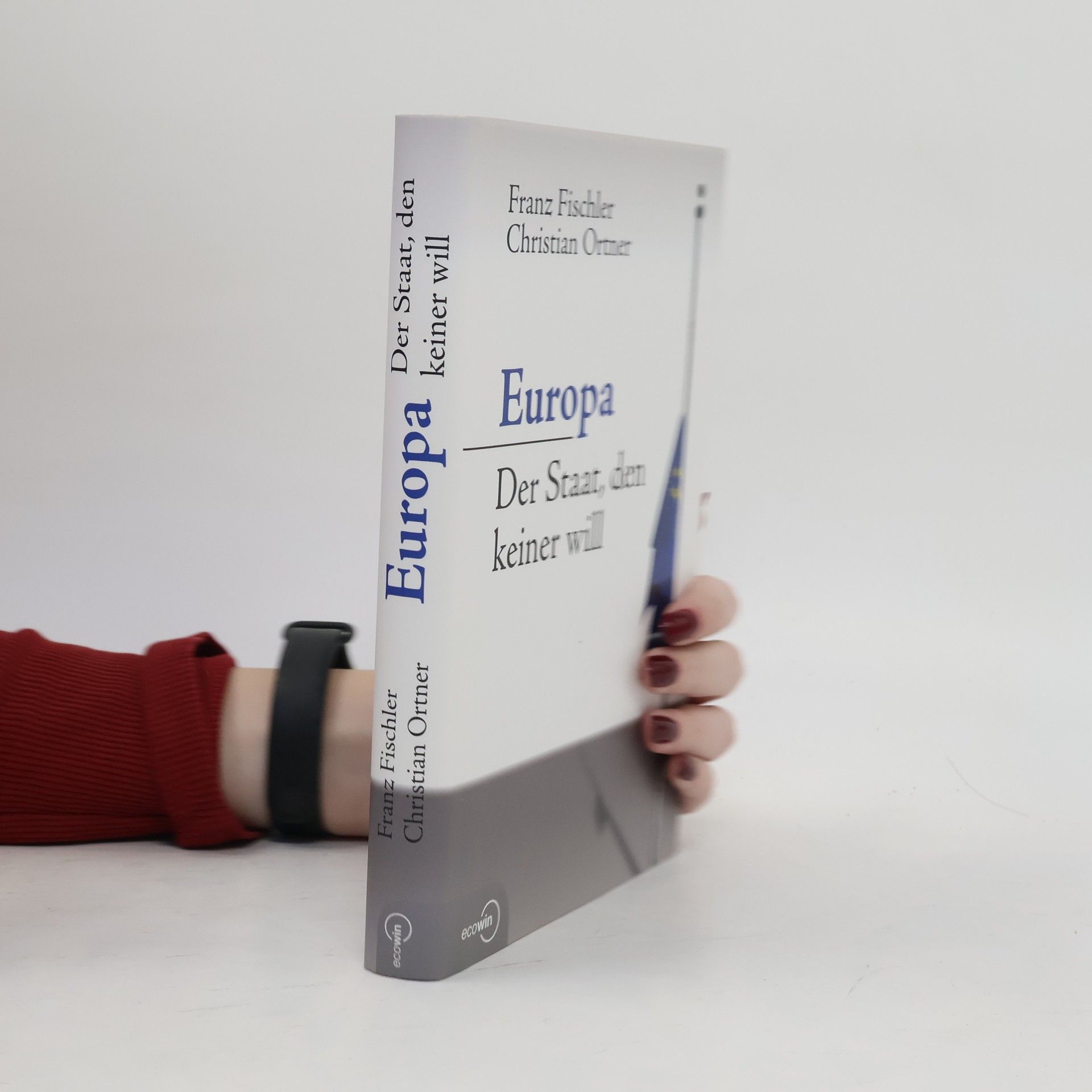 Europa - der Staat, den keiner will