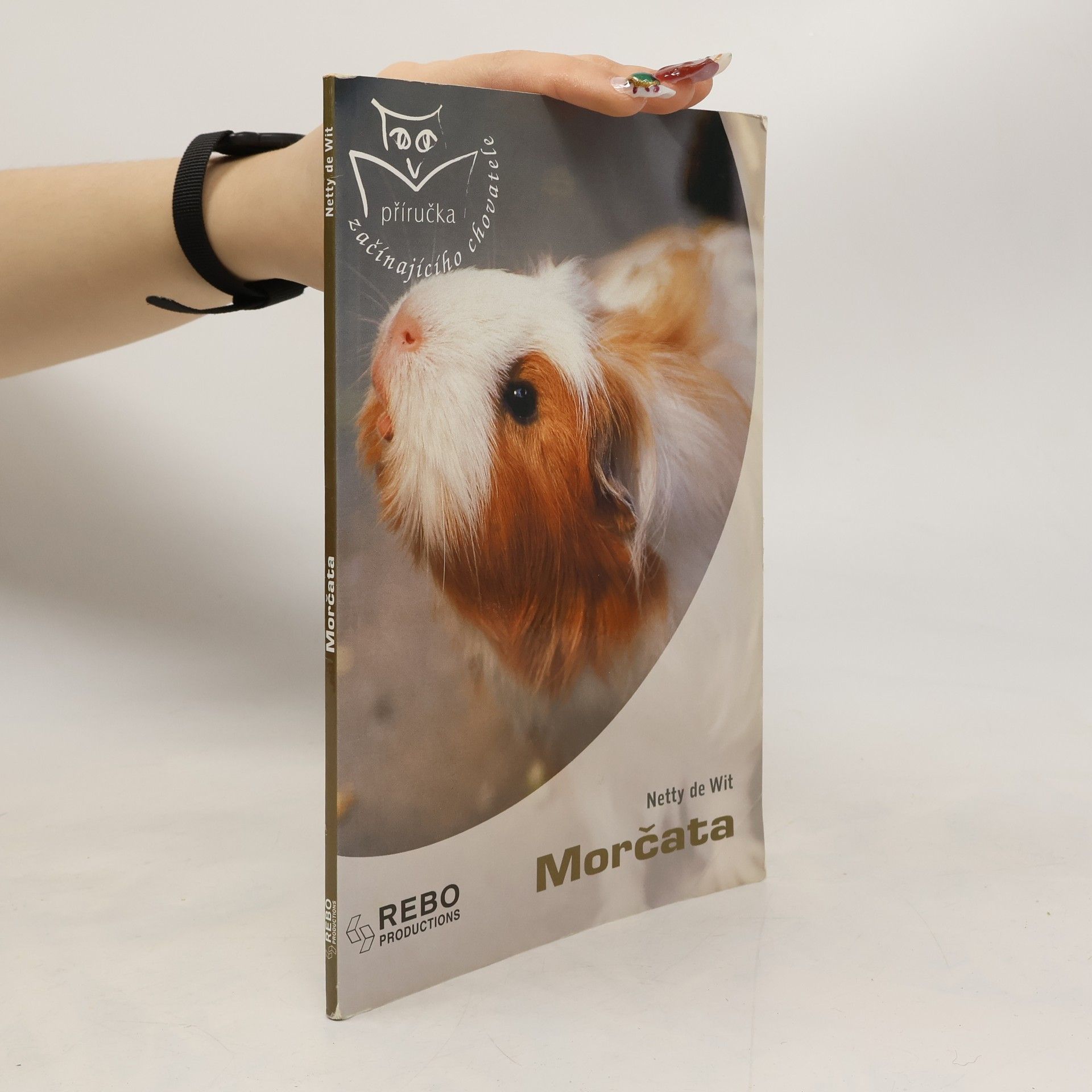 Netty de Wit Morčata