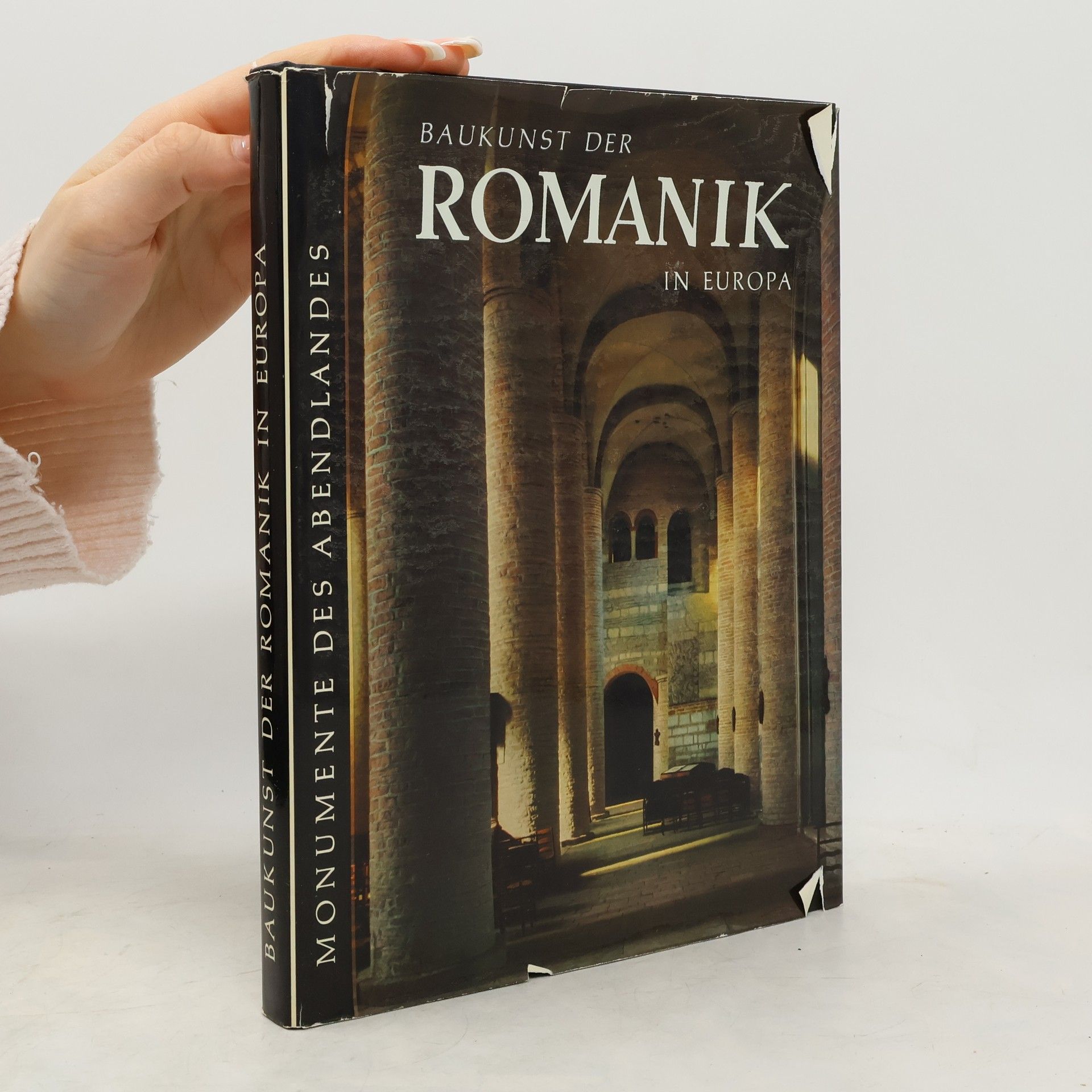 Kolektiv autorů Baukunst der Romantik in Europa