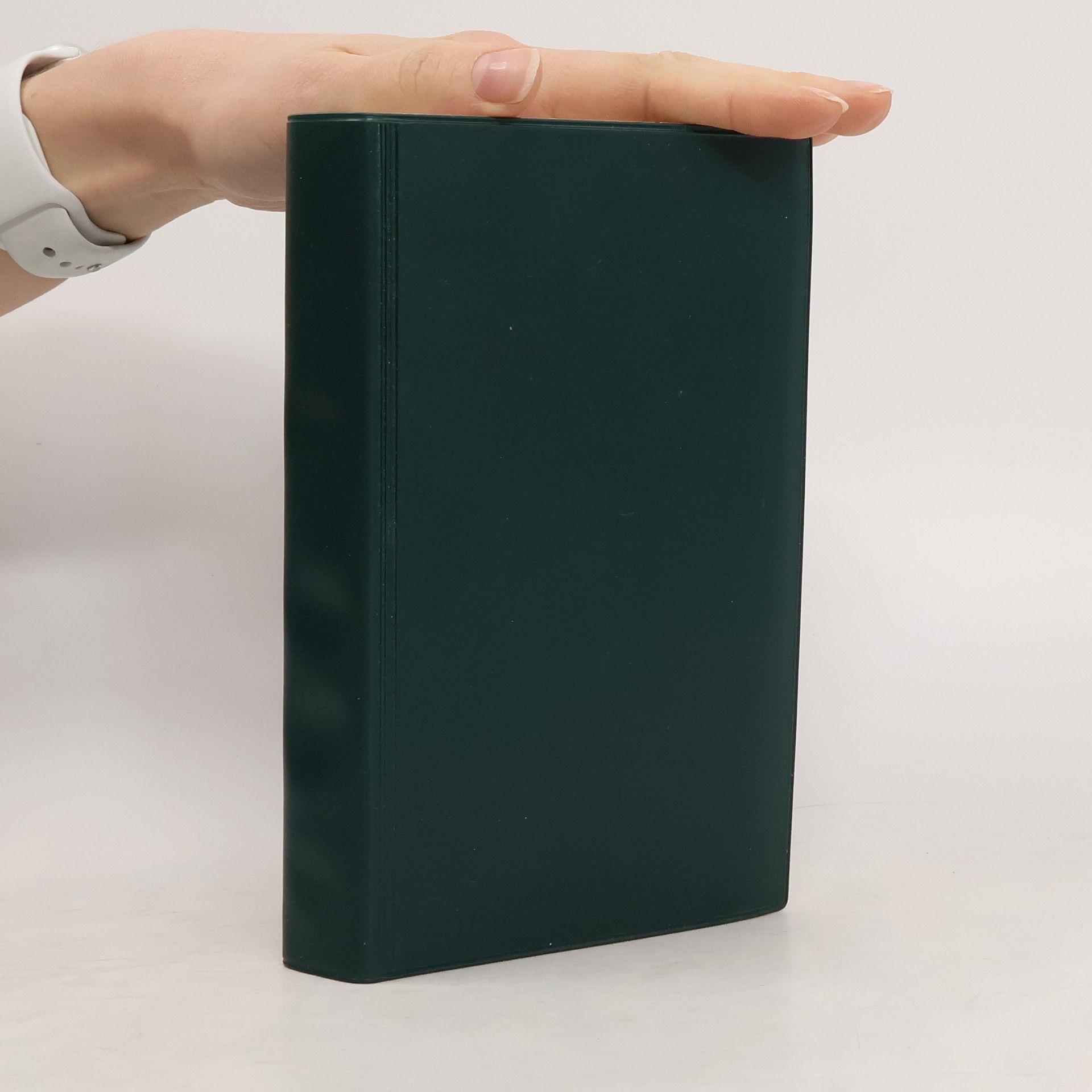 Kolektiv autorů Biblí svatá aneb všecka svatá písma Starého i Nového zákona