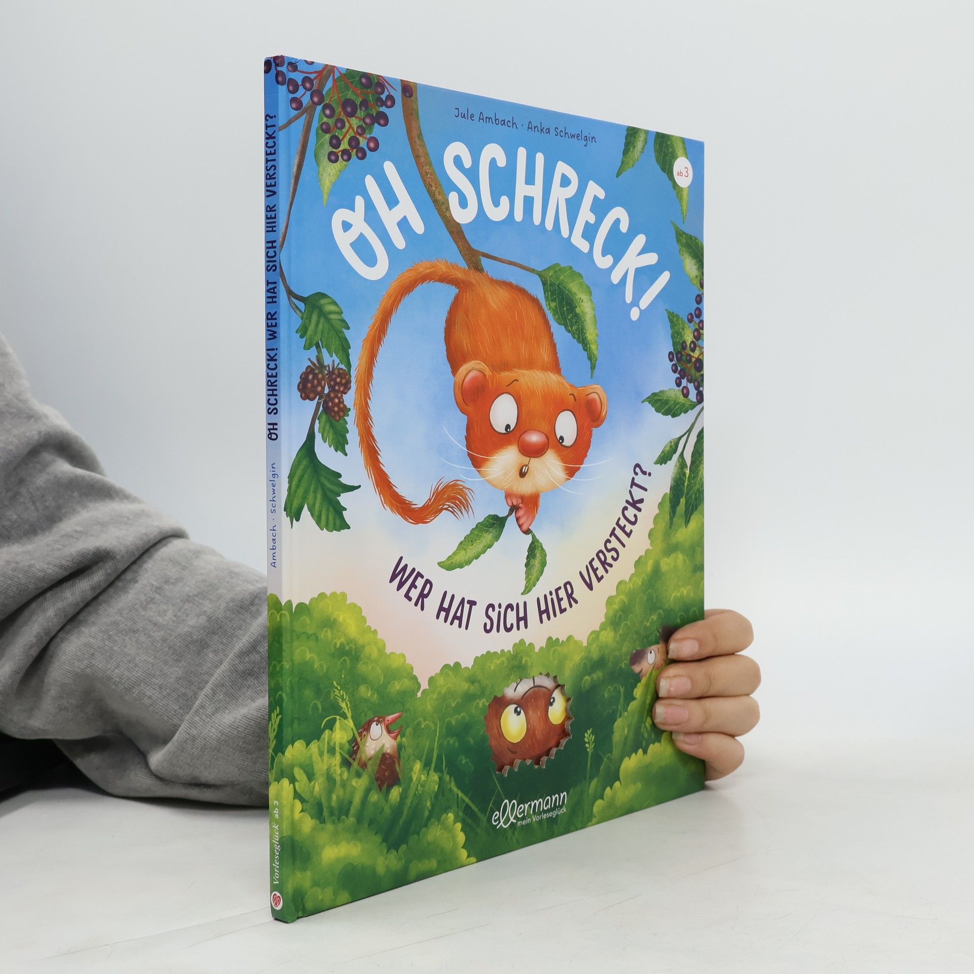 Jule Ambach Oh Schreck! Wer hat sich hier versteckt?