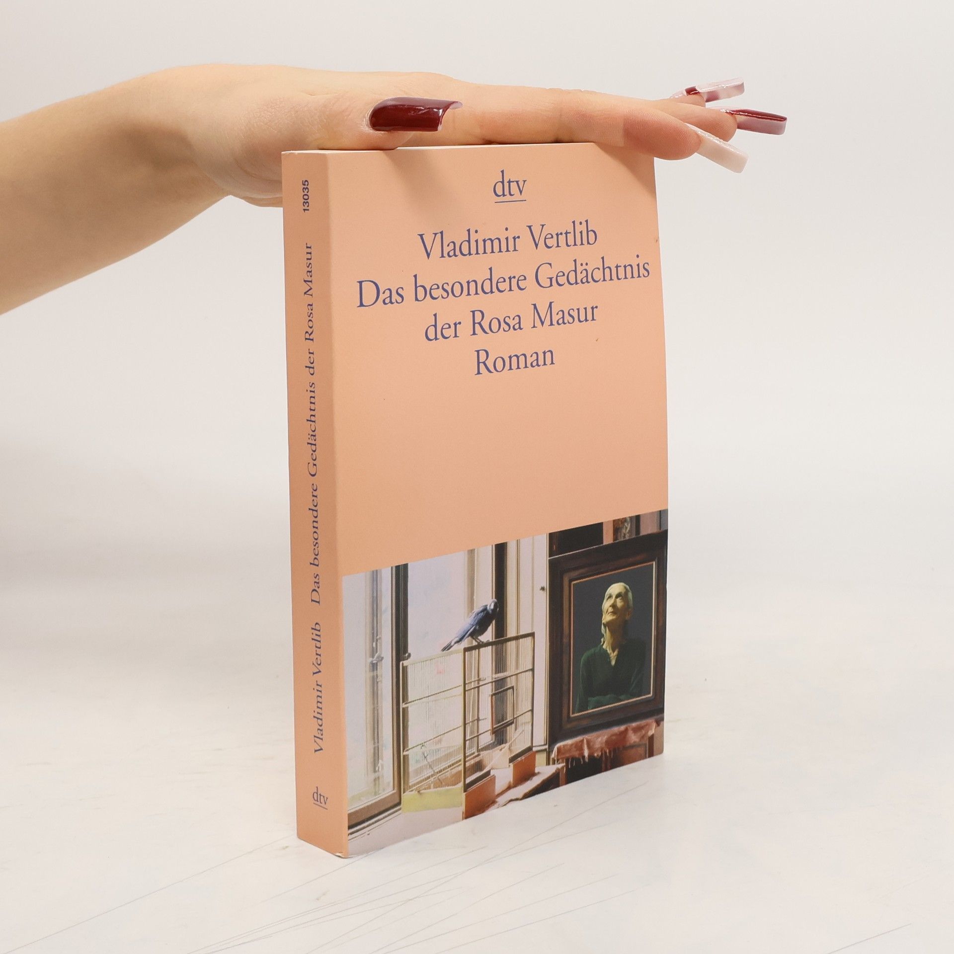 Vladimir Vertlib Das besondere Gedächtnis der Rosa Masur