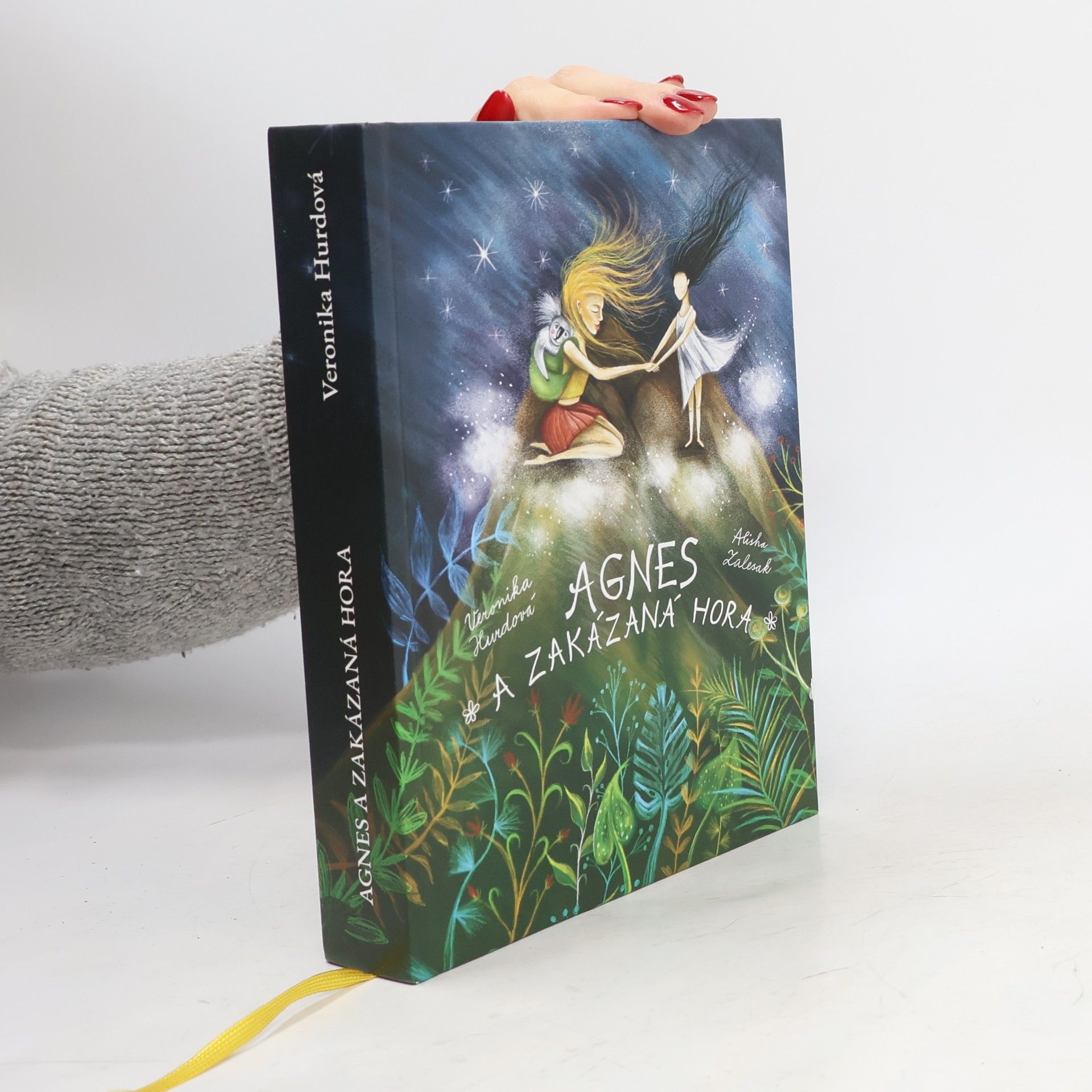 Agnes a Zakázaná hora