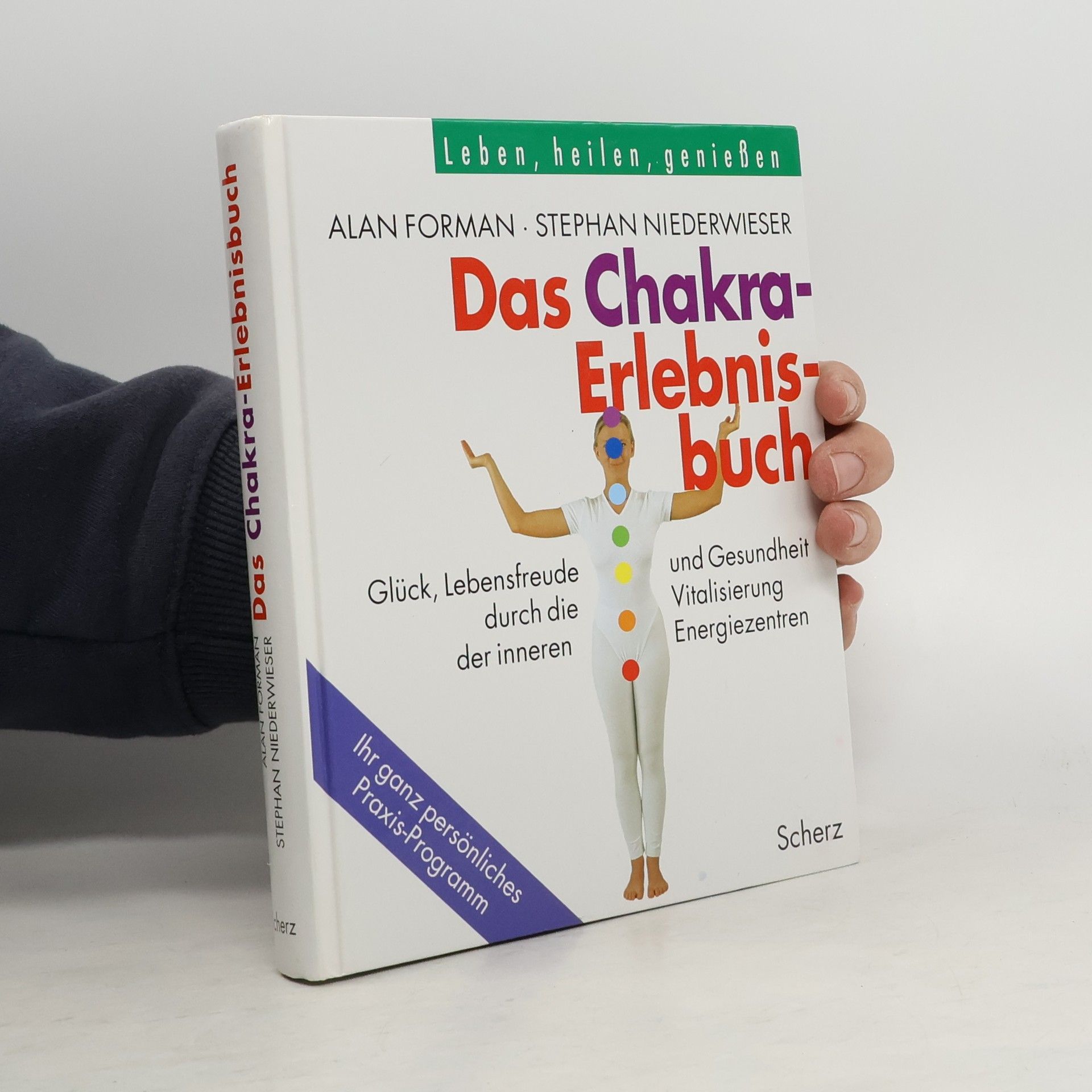 Das Chakra-Erlebnisbuch