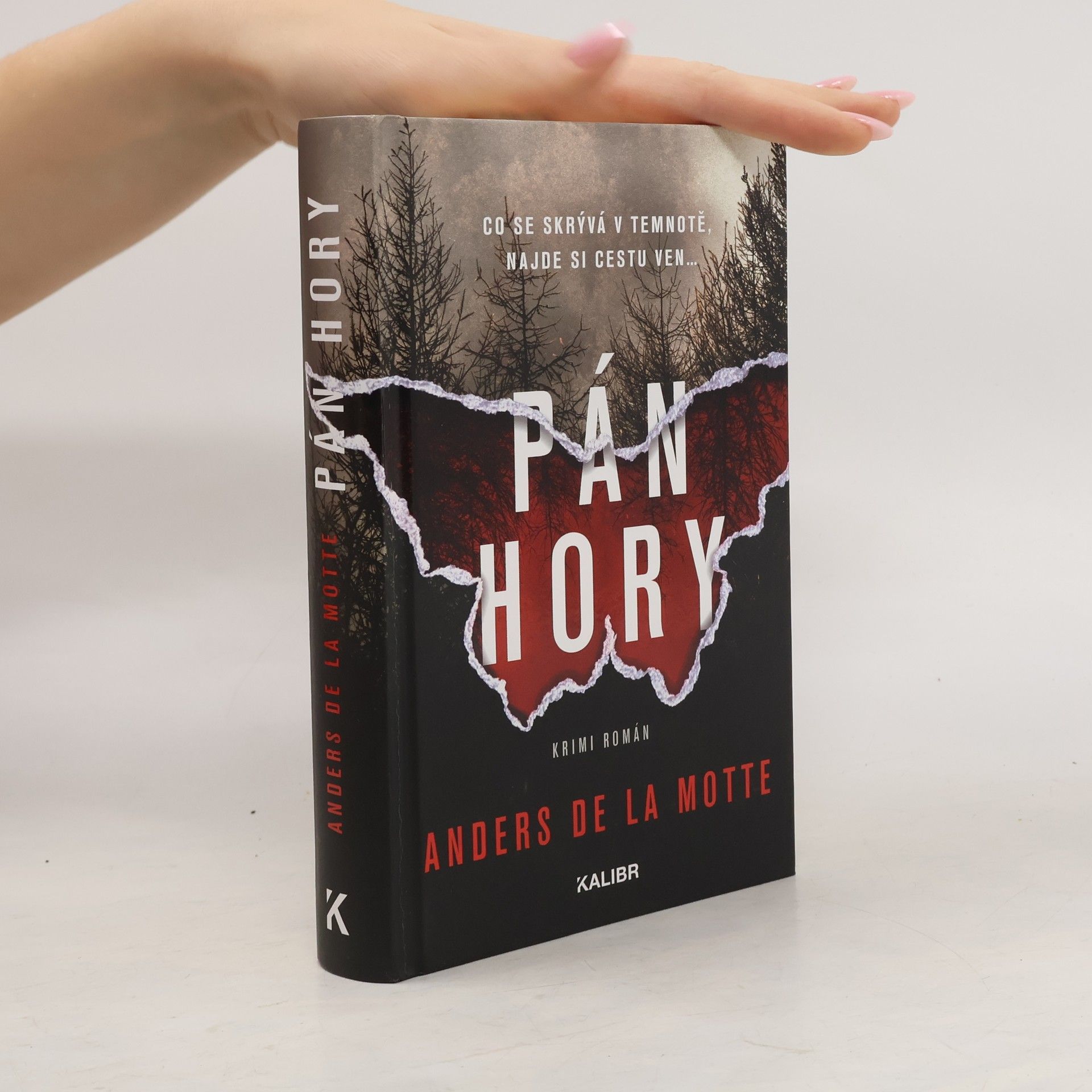 Anders De la Motte Pán hory