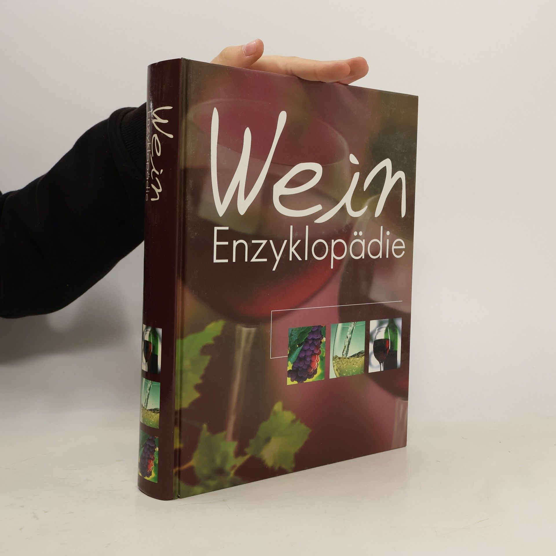 Autorenkollektiv Wein Enzyklopädie