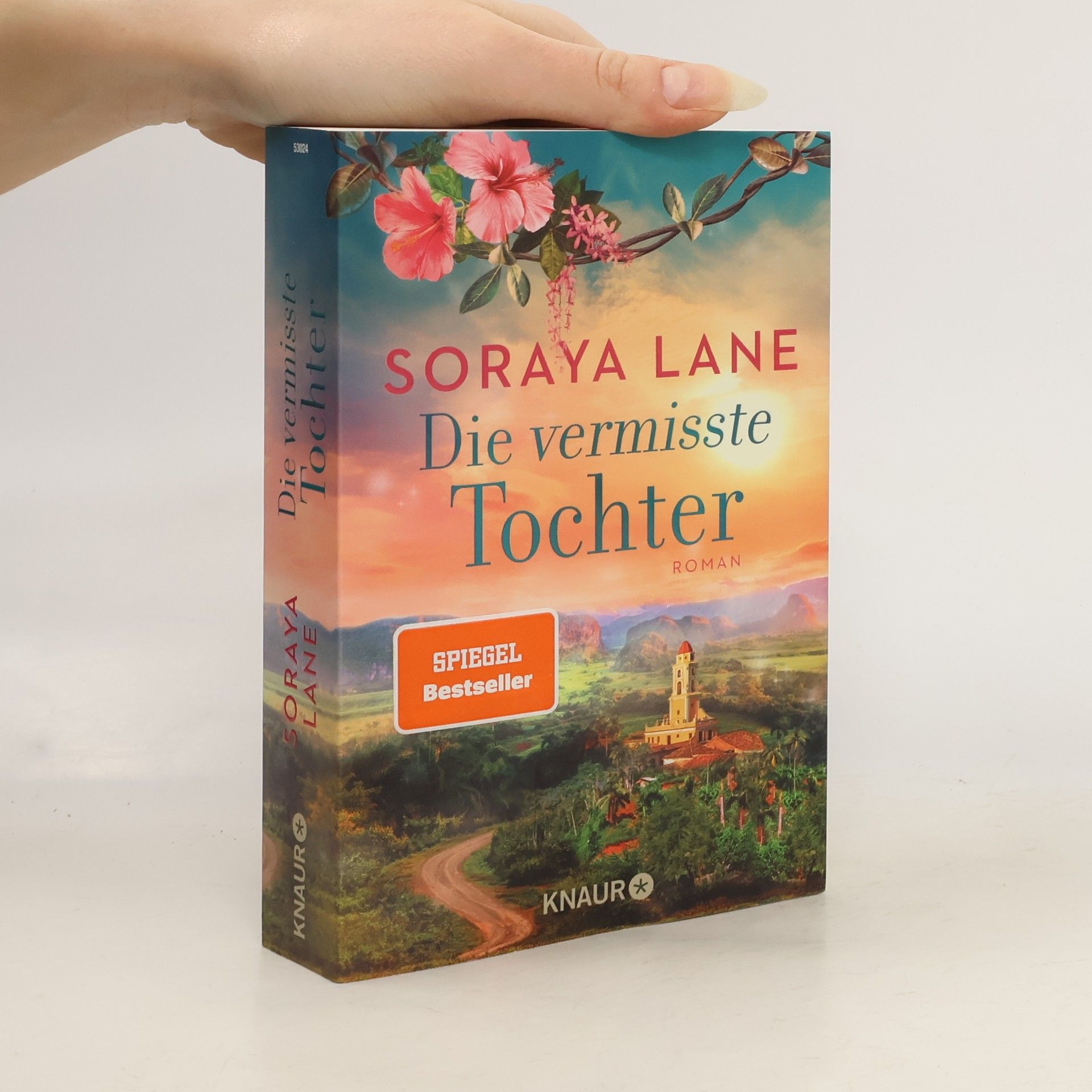 Die vermisste Tochter