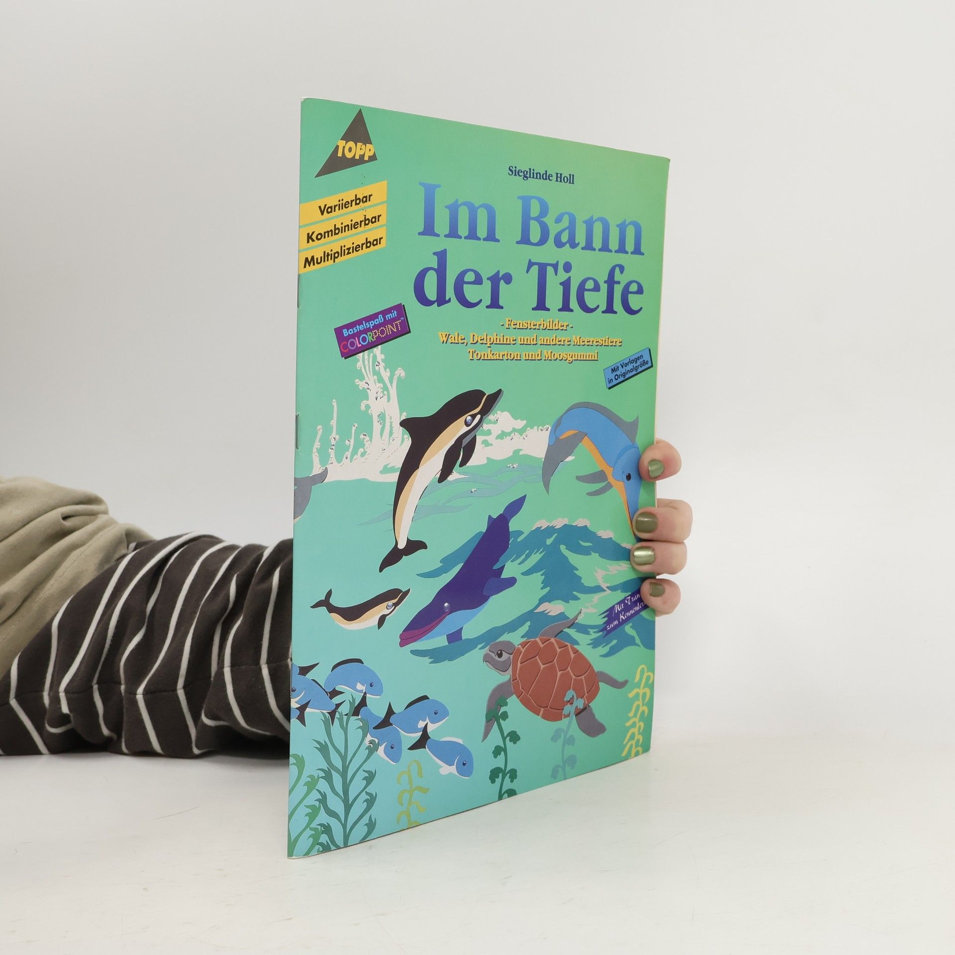 Sieglinde Holl Im Bann der Tiefe