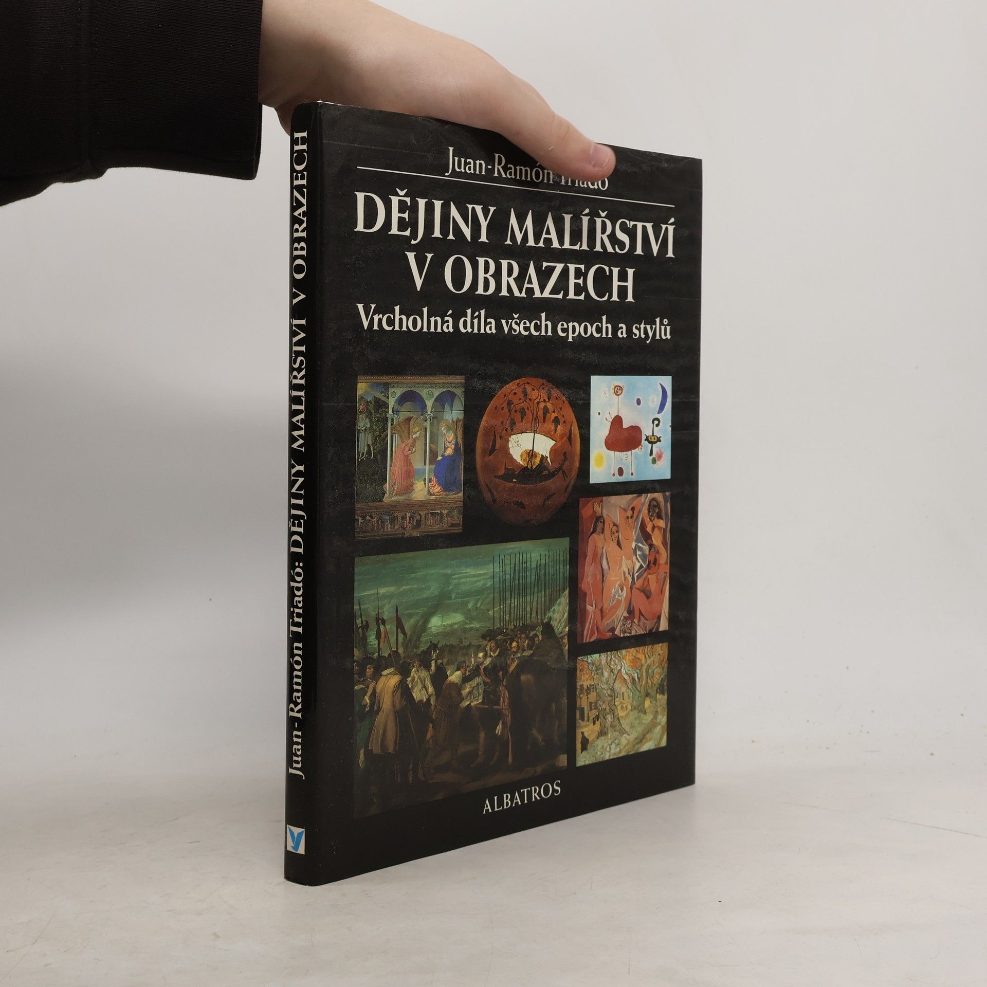 Dějiny malířství v obrazech : vrcholná díla všech epoch a stylů