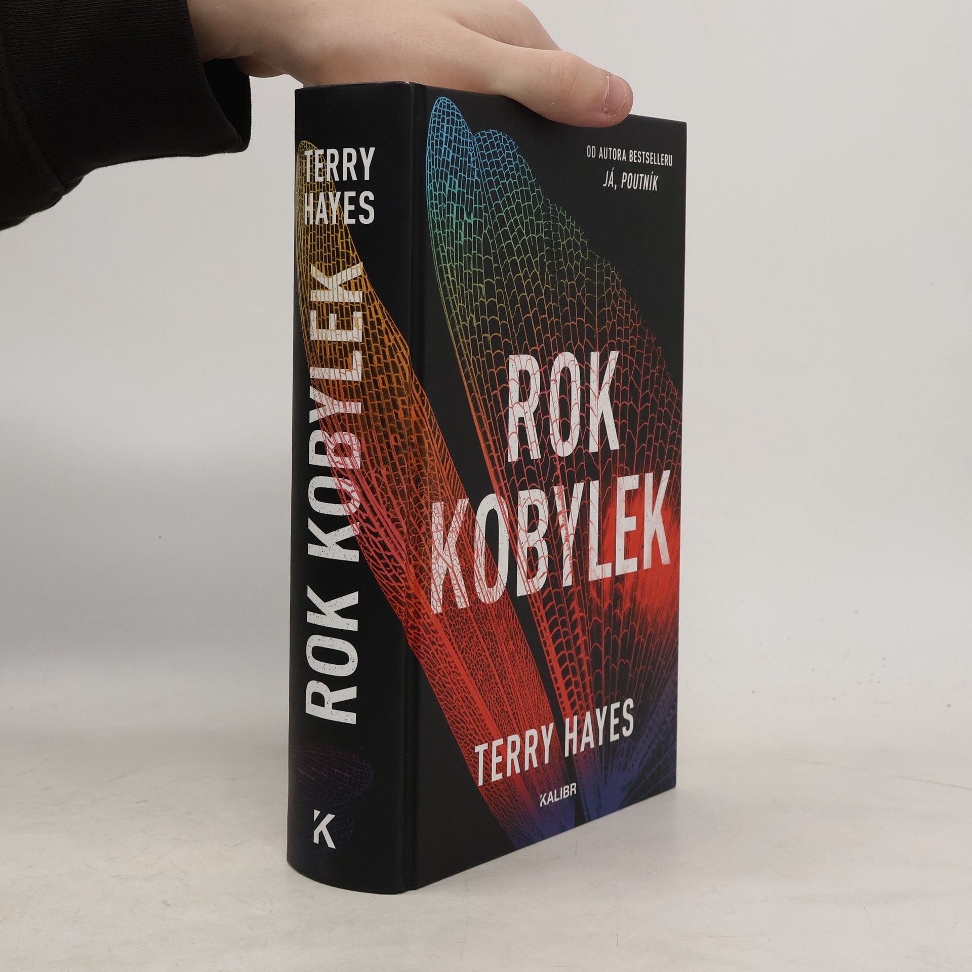 Terry Hayes Rok kobylek