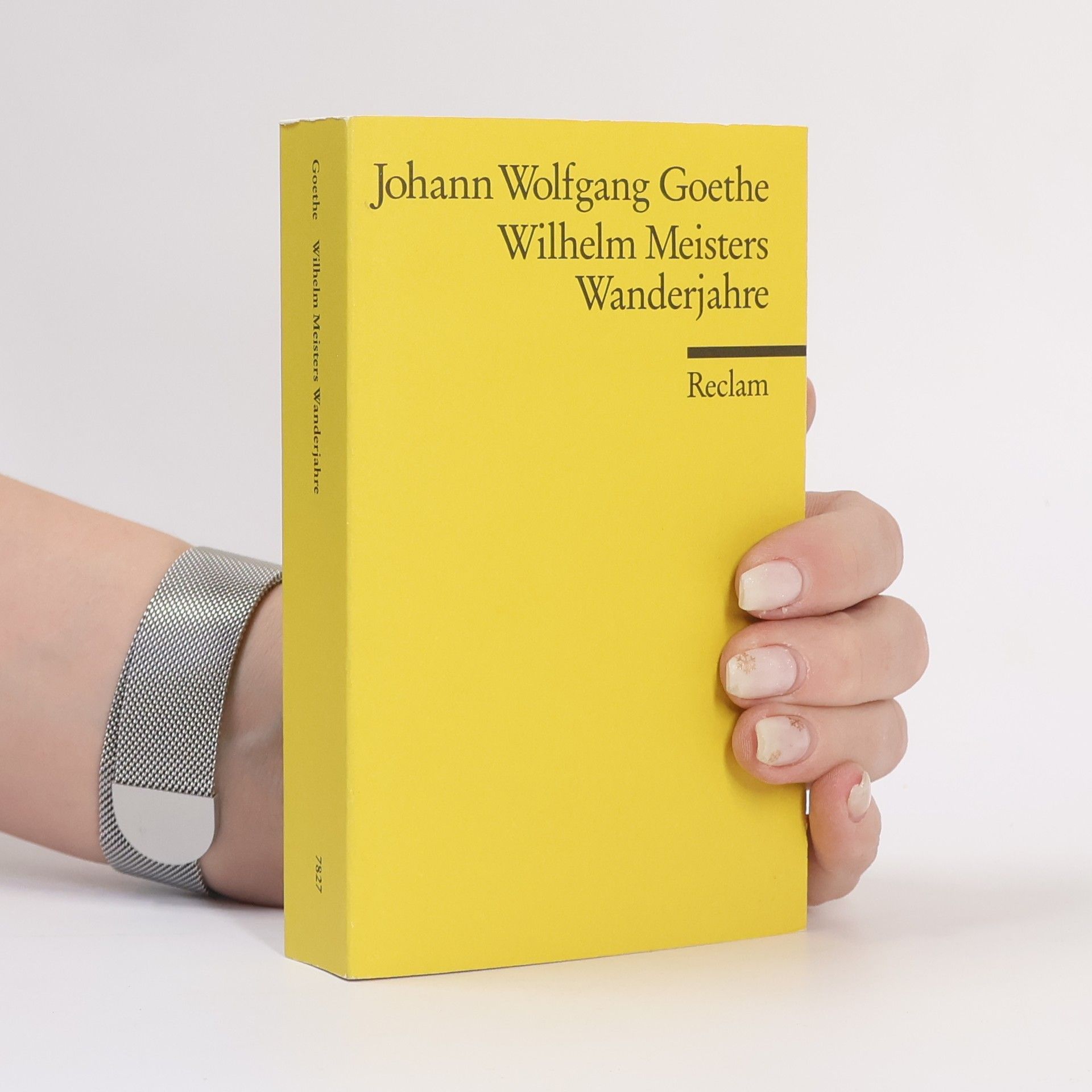 Johann Wolfgang von Goethe Wilhelm Meisters Wanderjahre, oder, Die Entsagenden