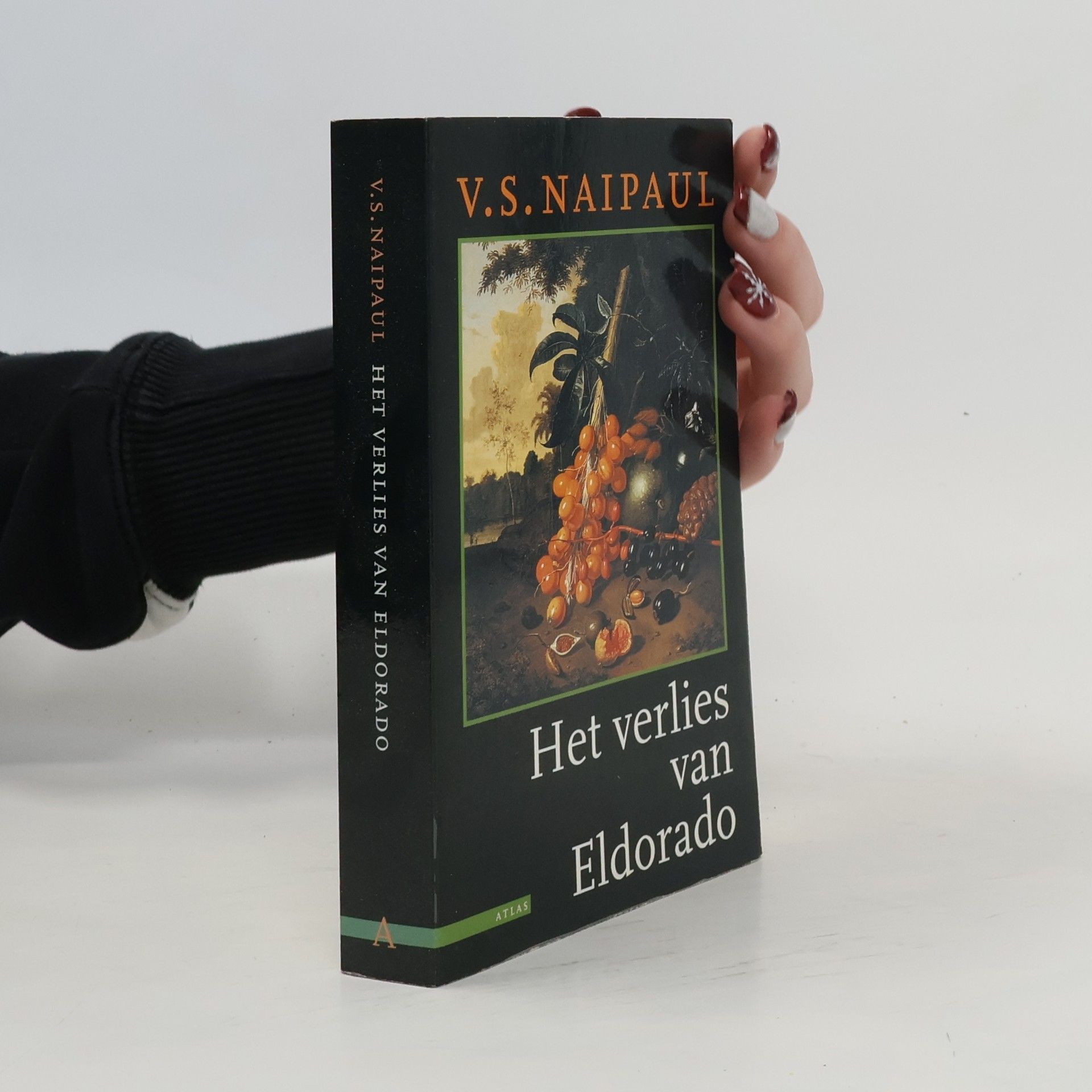 V. S. Naipaul Het verlies van Eldorado