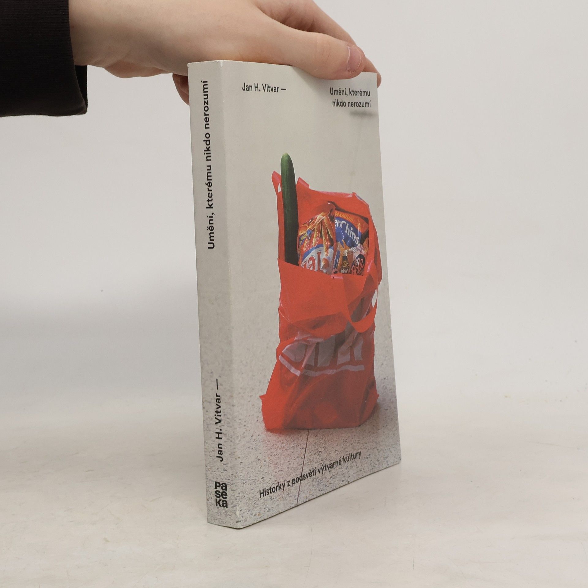 Jan H. Vitvar Umění, kterému nikdo nerozumí : historky z podsvětí výtvarné kultury