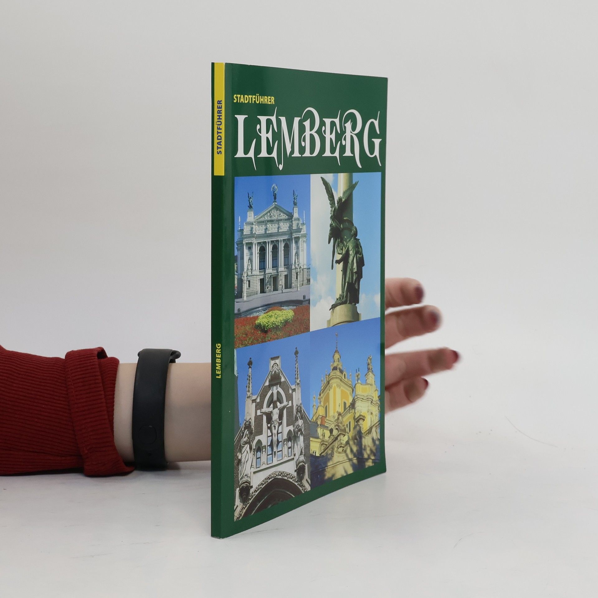 Stadtführer Lemberg
