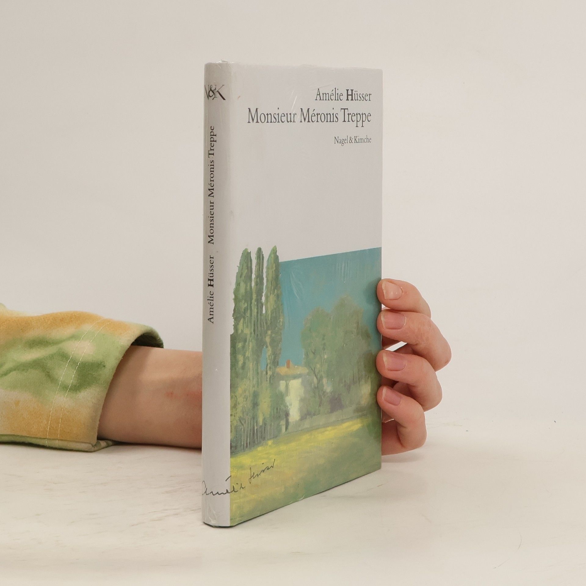 Monsieur Méronis Treppe