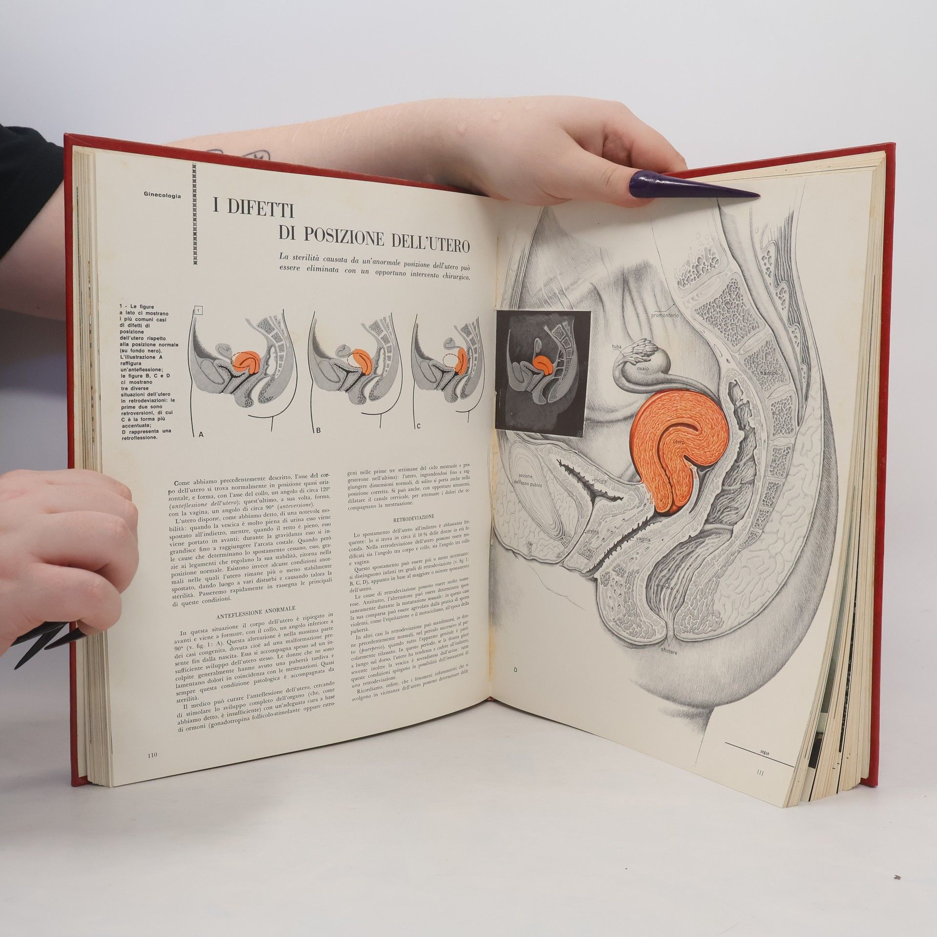 Collectif d'auteurs Guida Medica