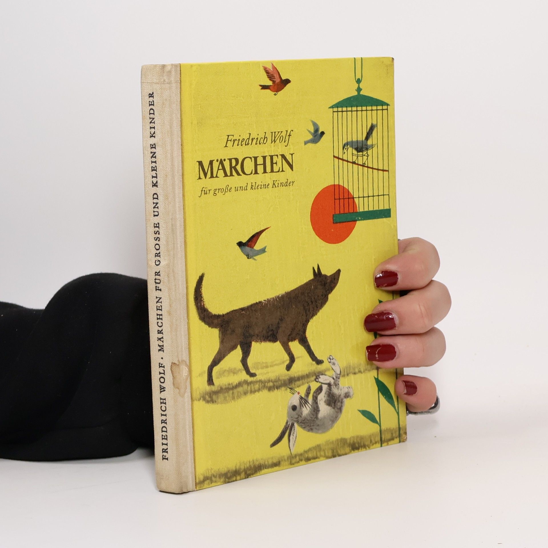 Friedrich Wolf Märchen für große und kleine Kinder