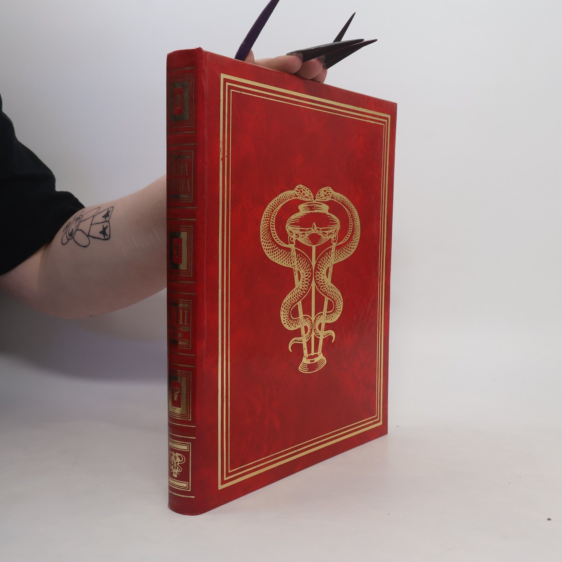 Auteurscollectief Guida medica VIII