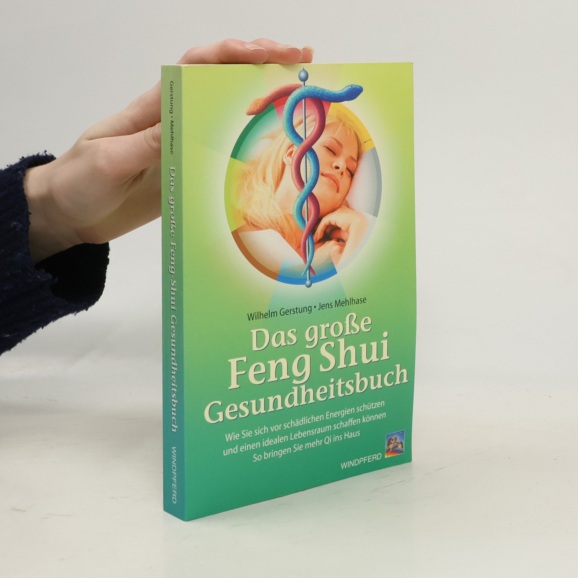 Wilhelm Gerstung Das grosse Feng-Shui Gesundheitsbuch