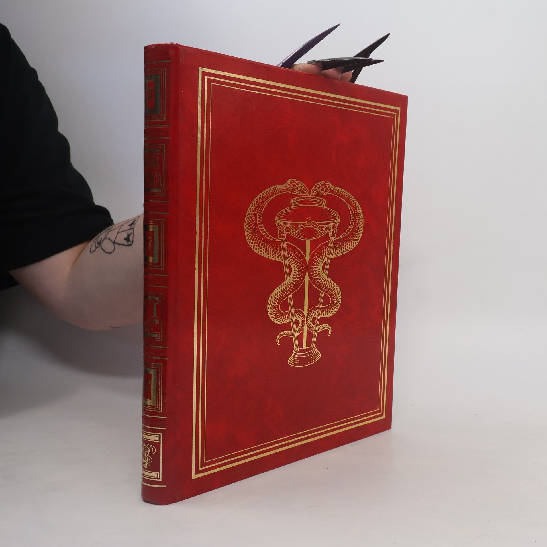 Auteurscollectief Guida medica VI