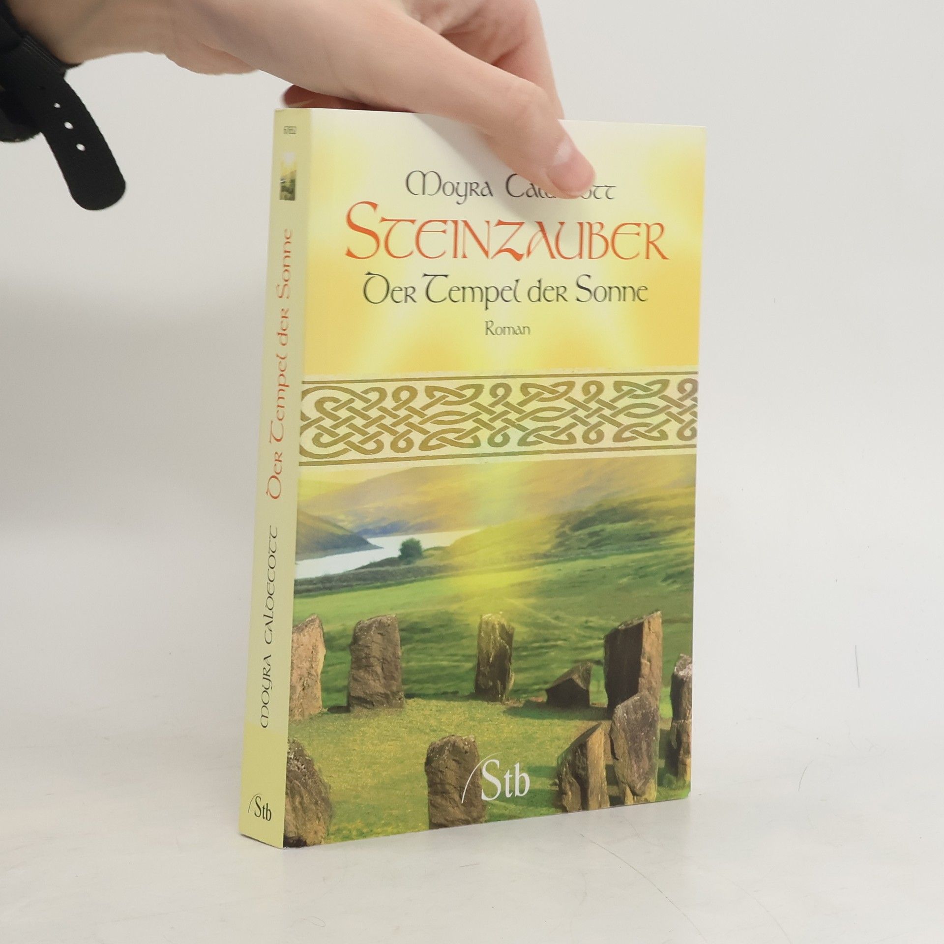 Moyra Caldecott Steinzauber - Der Tempel der Sonne. Der Tempel der Sonne