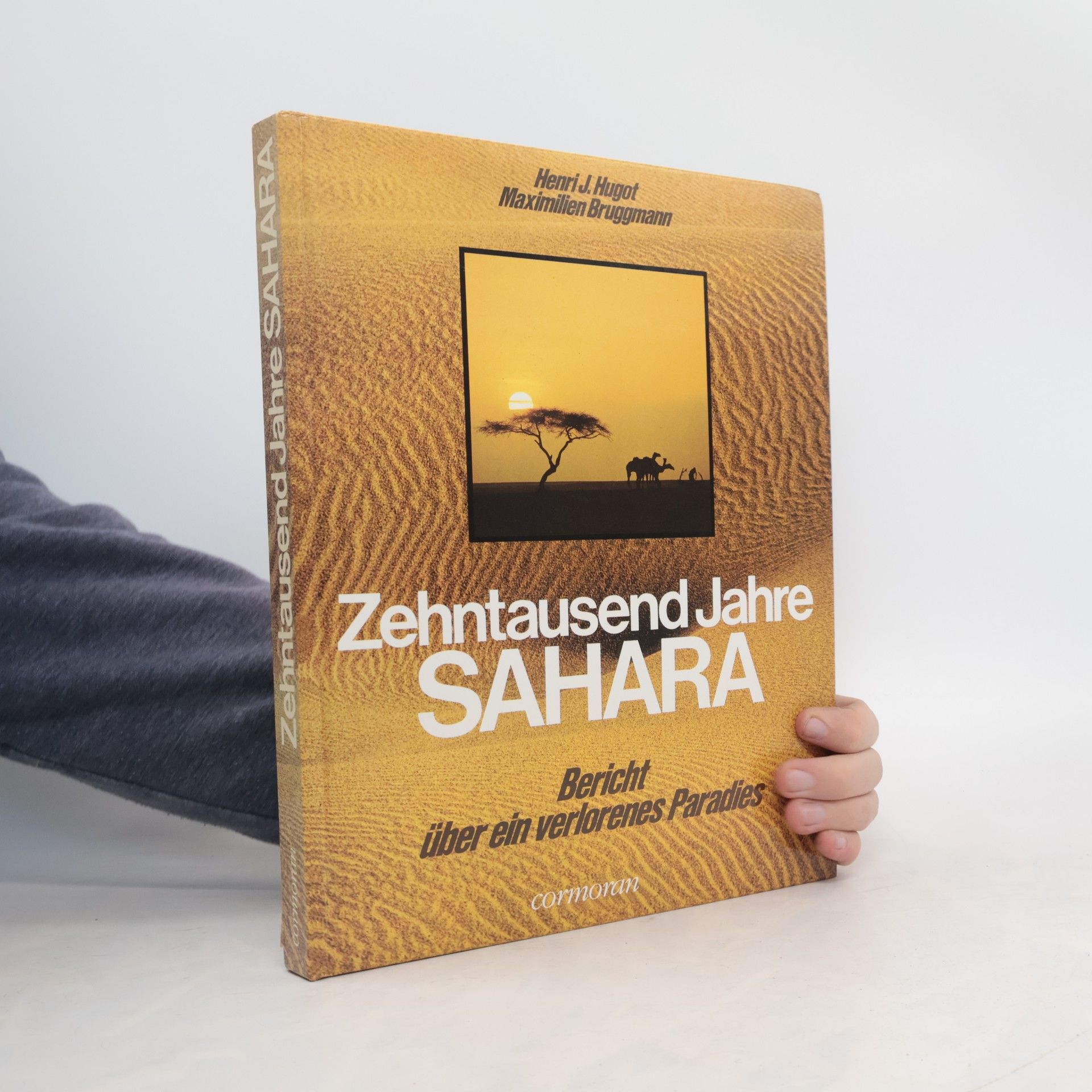 Maximilien Bruggmann Zehntausend Jahre Sahara