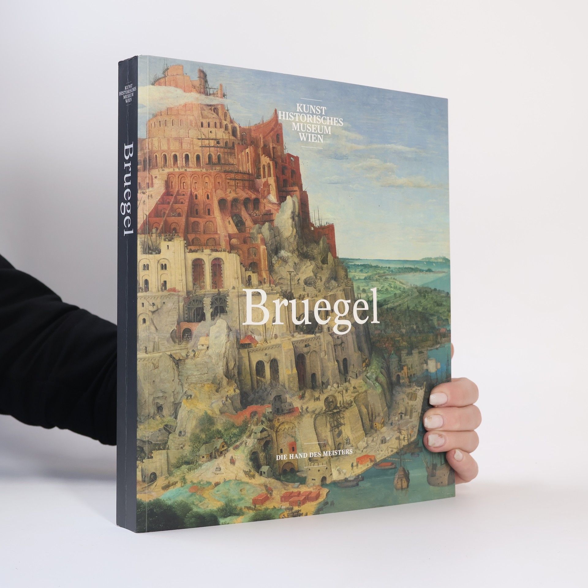 Bruegel - die Hand des Meisters