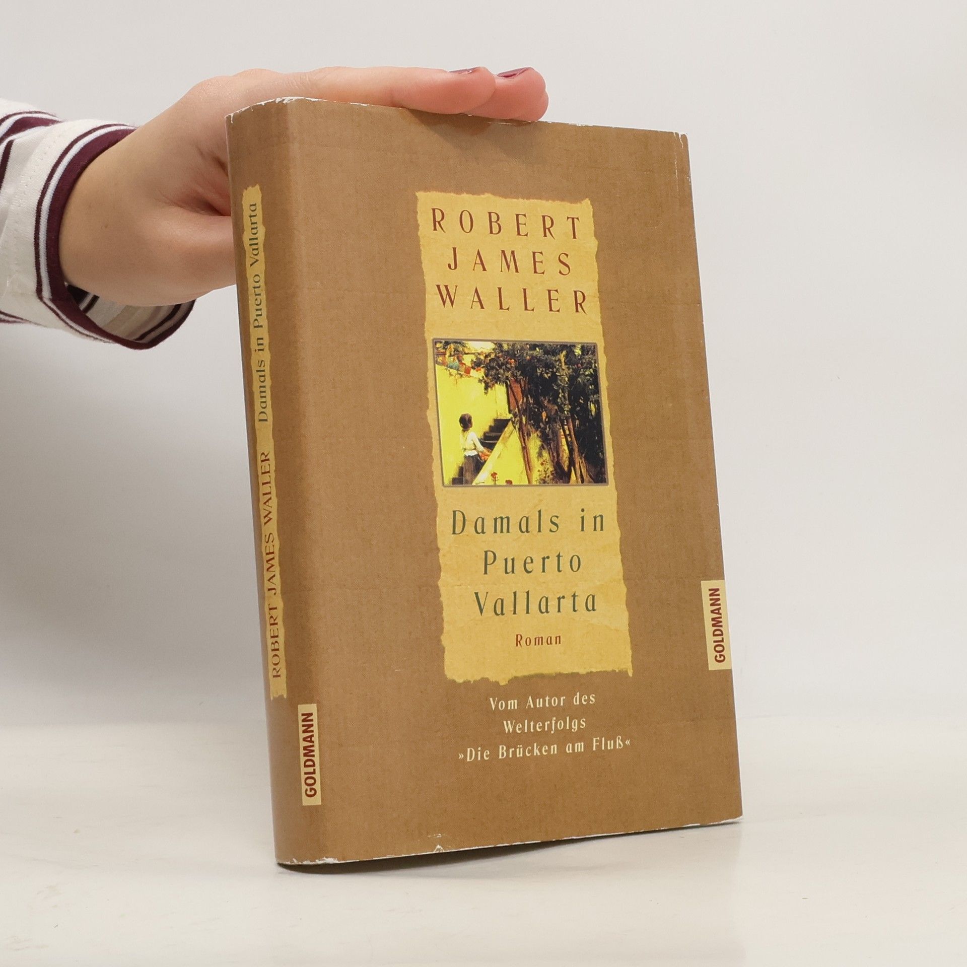 Damals in Puerto Vallarta