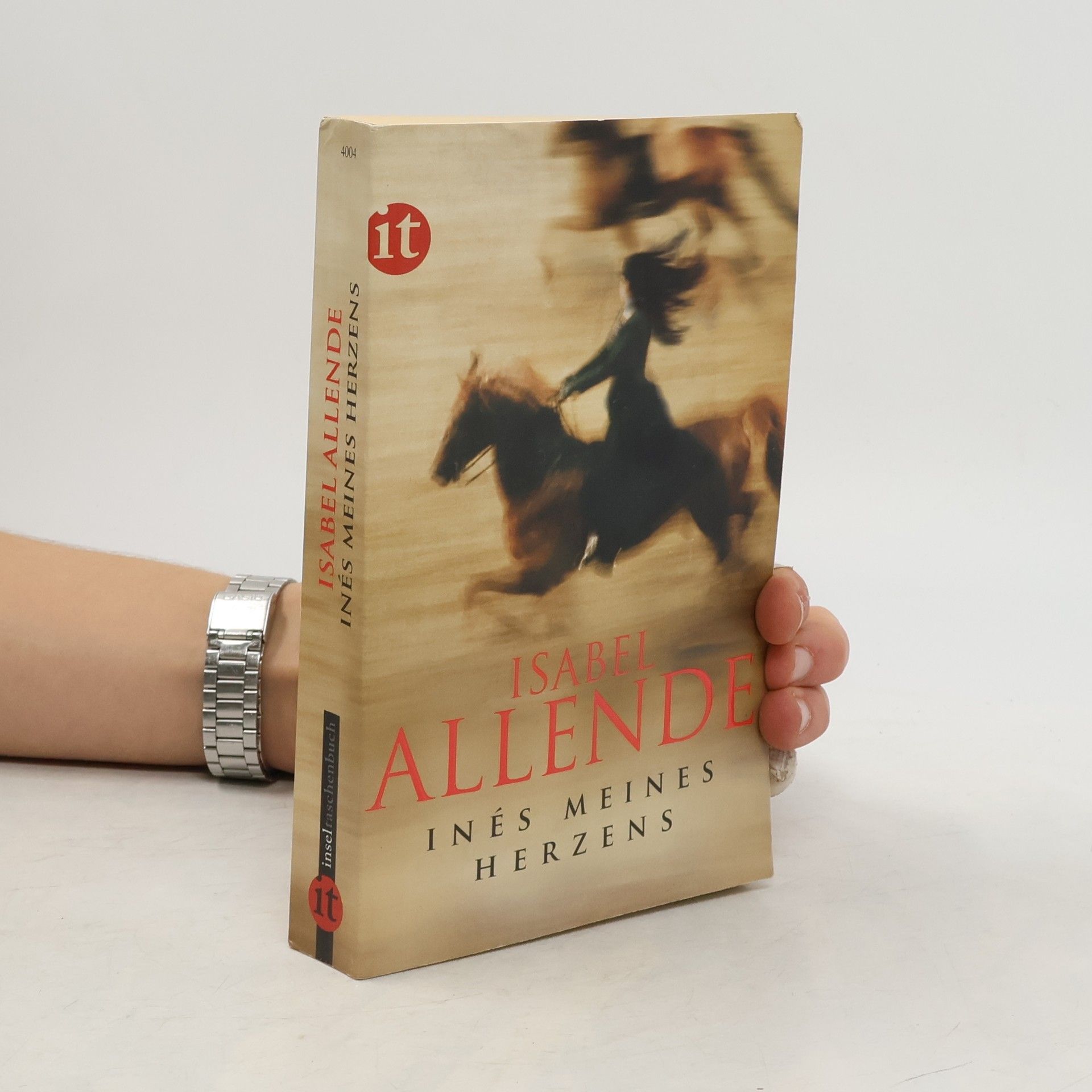 Isabel Allende Inés meines Herzens