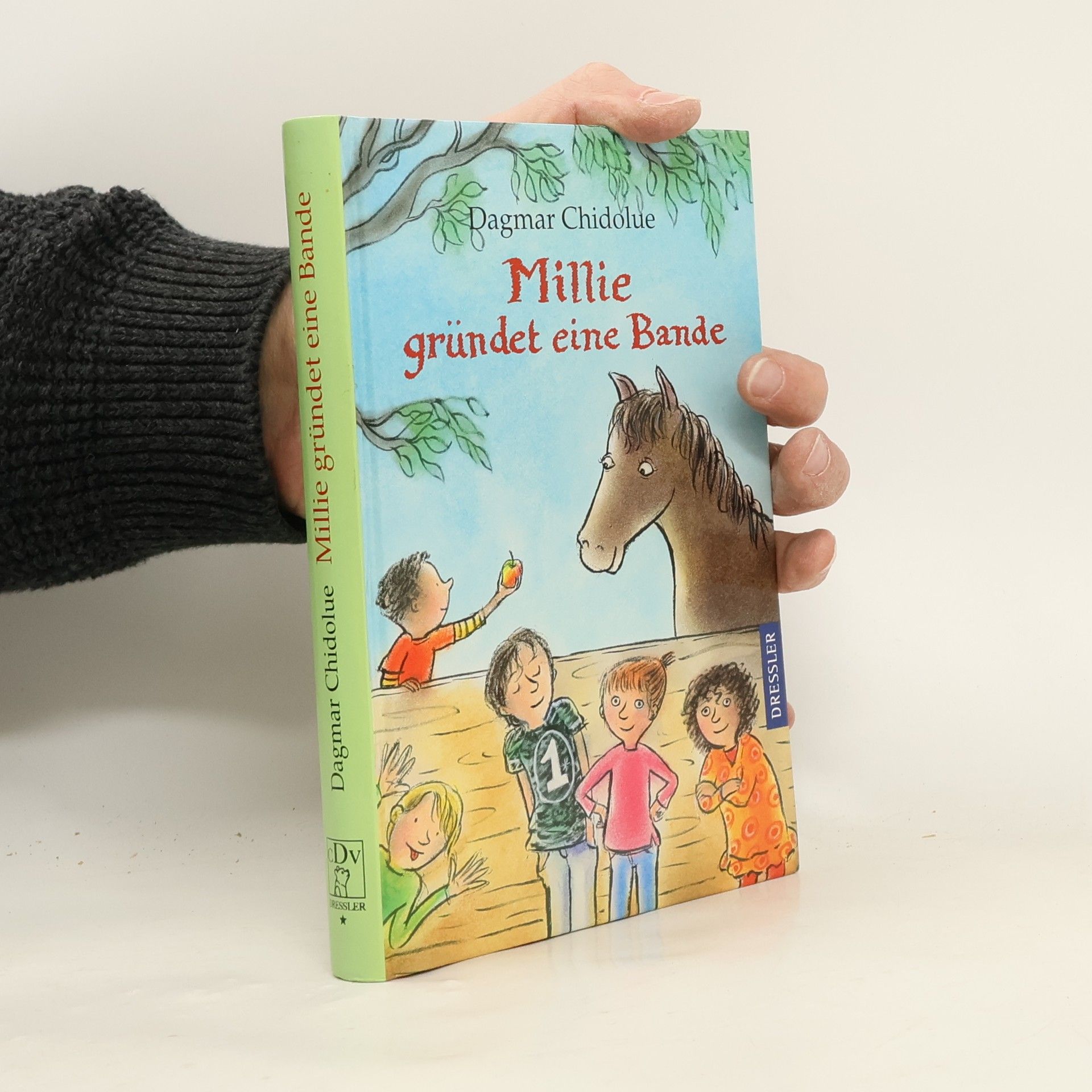 Dagmar Chidolue Millie gründet eine Bande