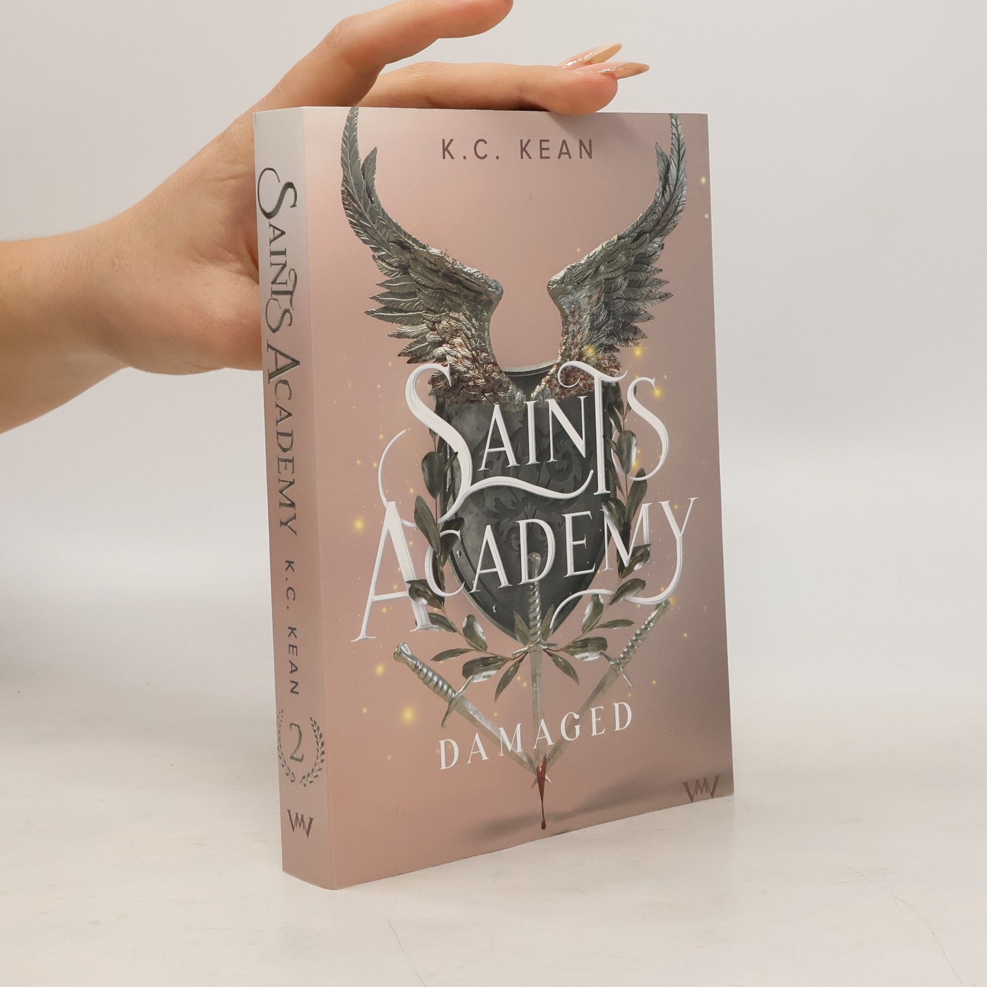 Saints Academy 2 - Damaged