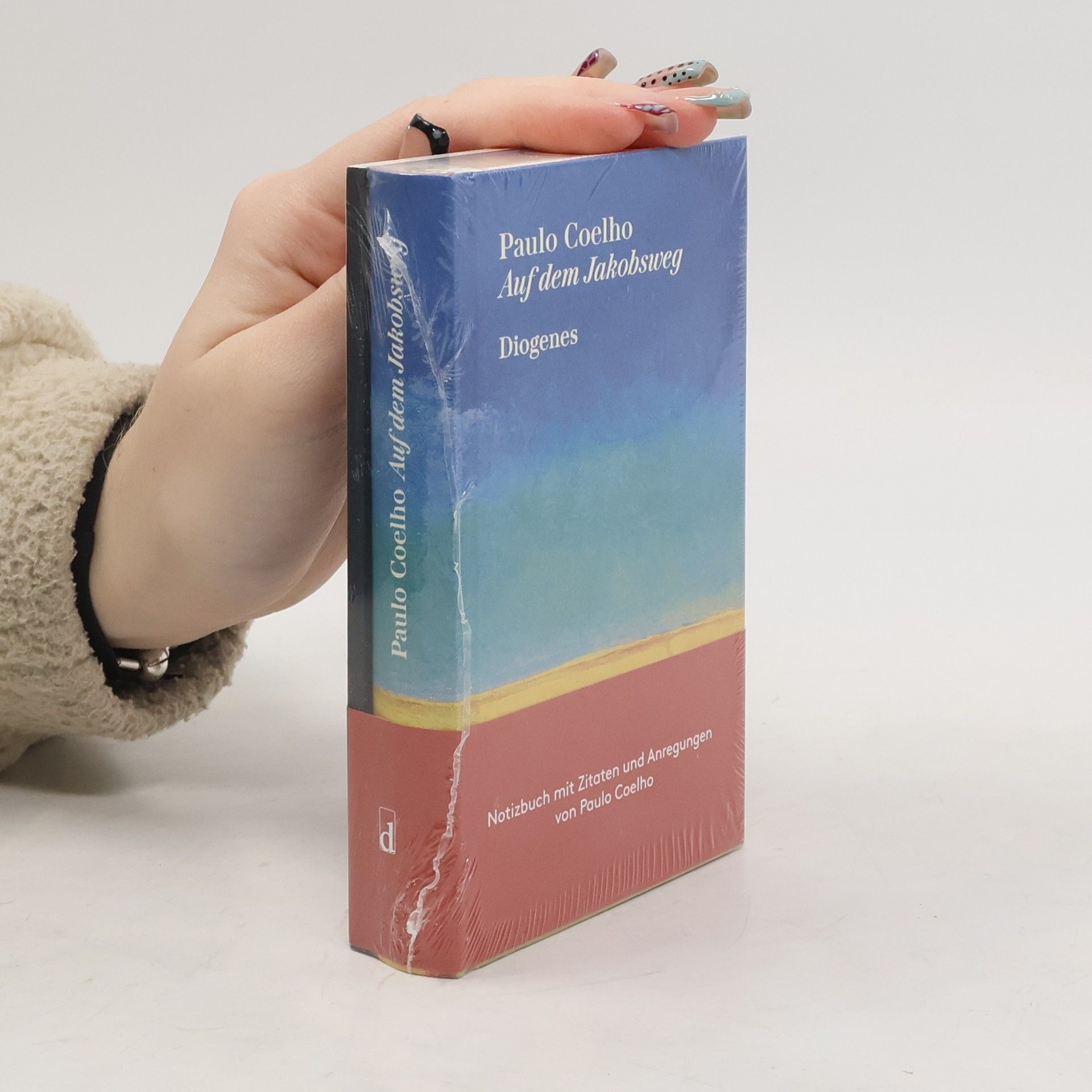 Paulo Coelho Auf dem Jakobsweg