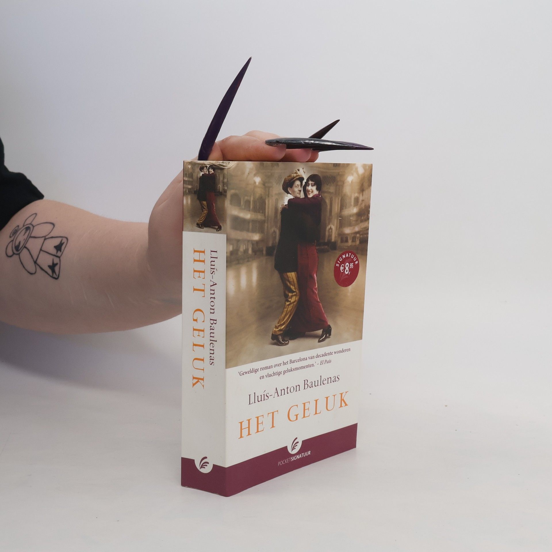 Lluís-Anton Baulenas Het geluk