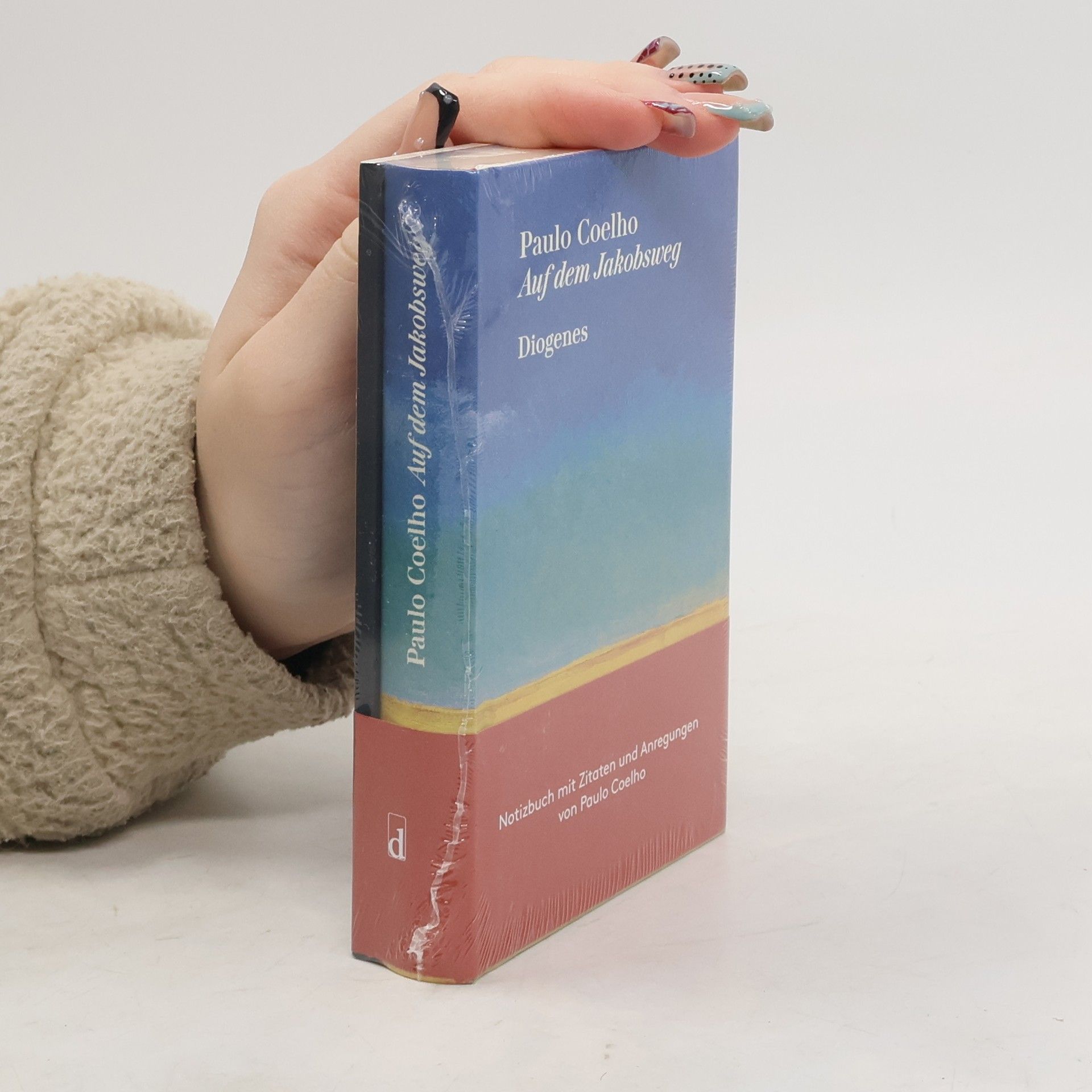 Paulo Coelho Auf dem Jakobsweg