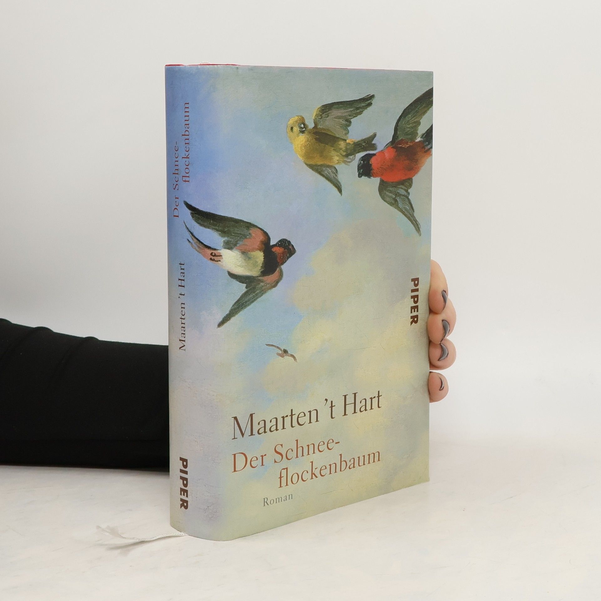 Maarten ’t Hart Der Schneeflockenbaum