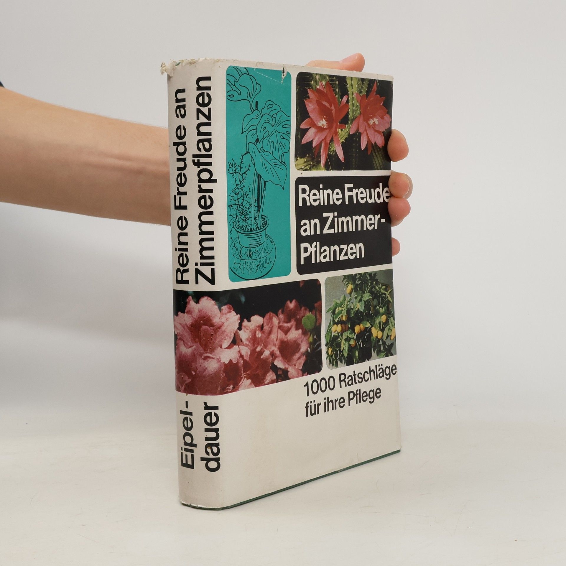 Reine Freude an Zimmer-Pflanzen