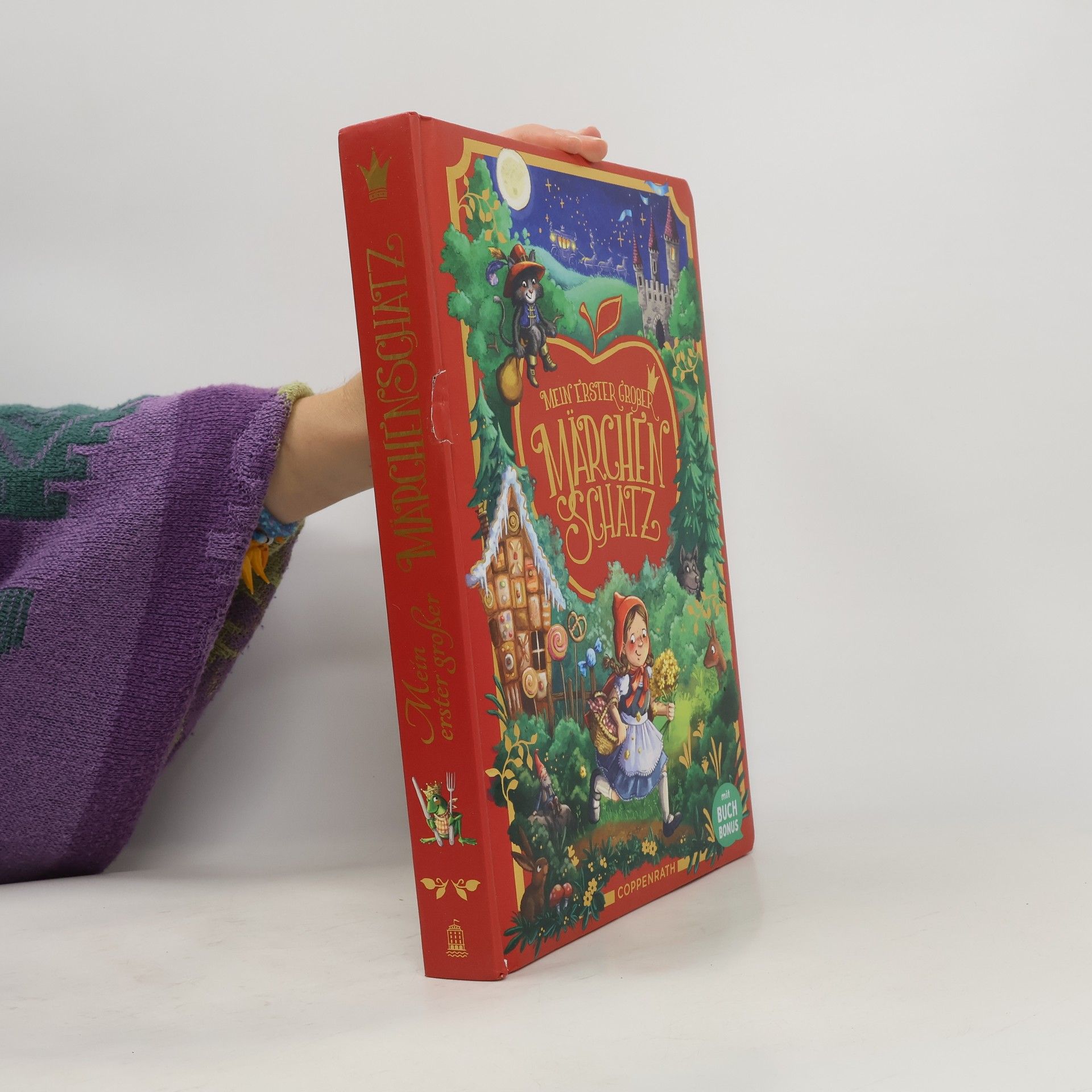 Mein erster großer Märchenschatz