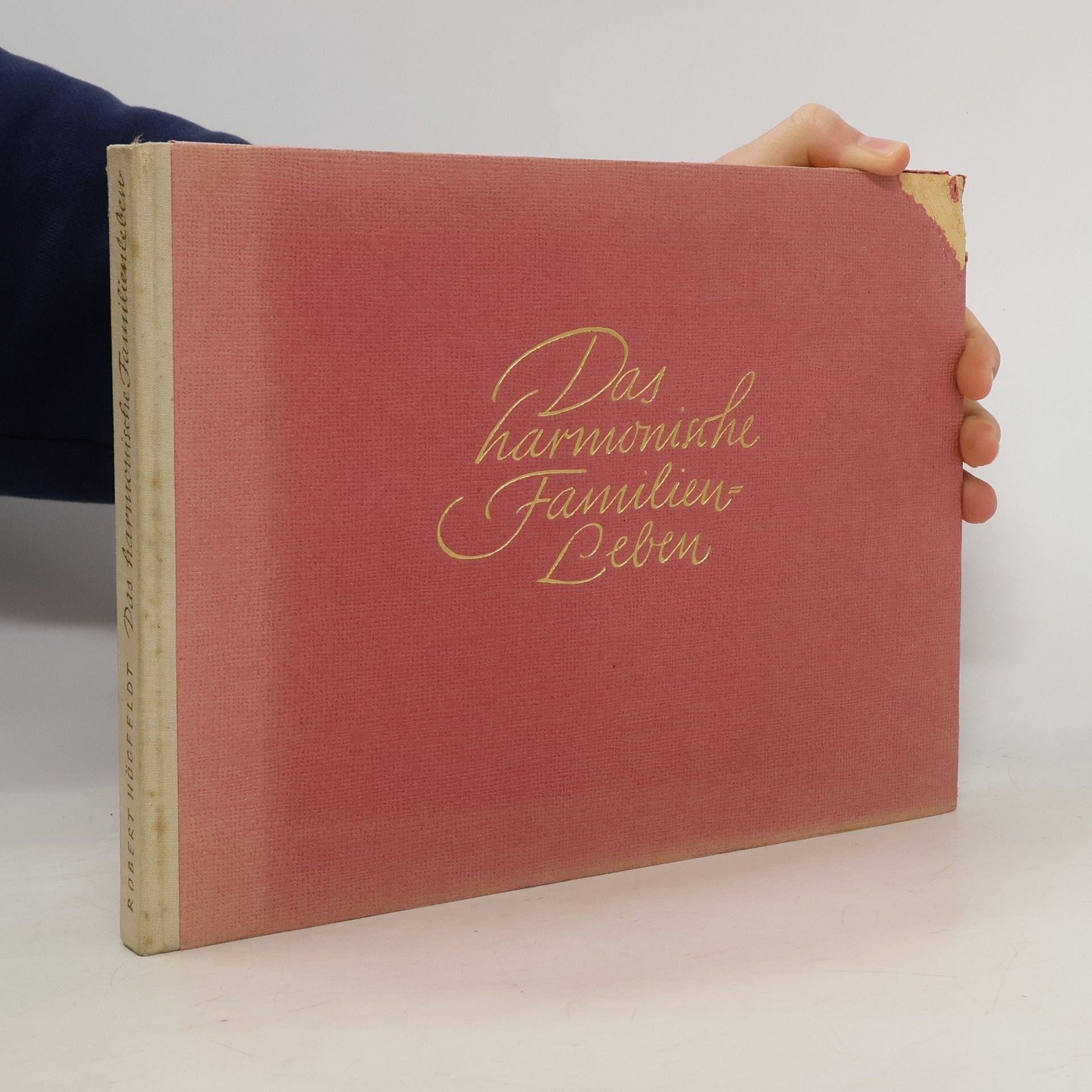 Robert Högfeldt Das harmonische Familienleben